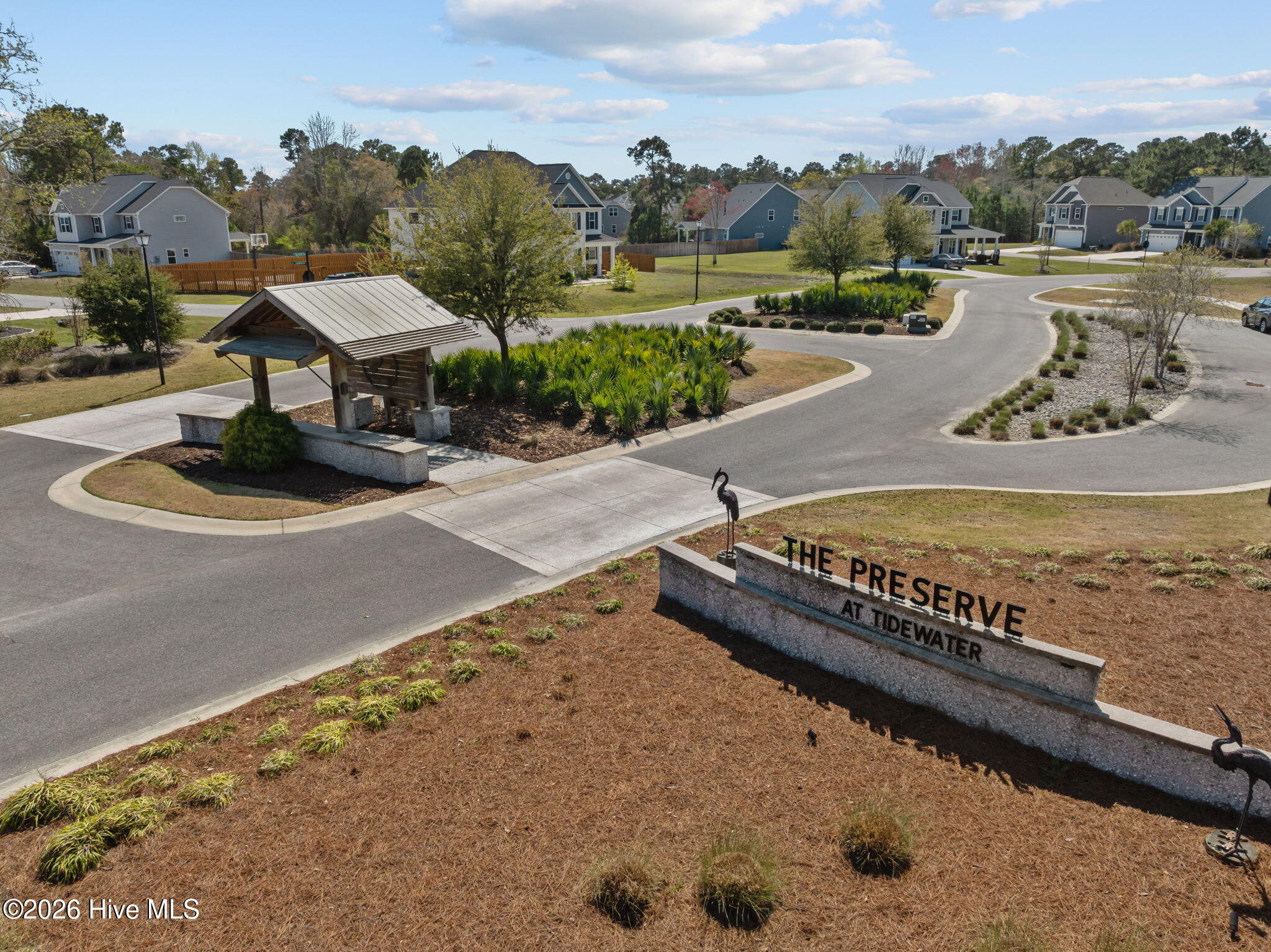 100564273 | Photo 51