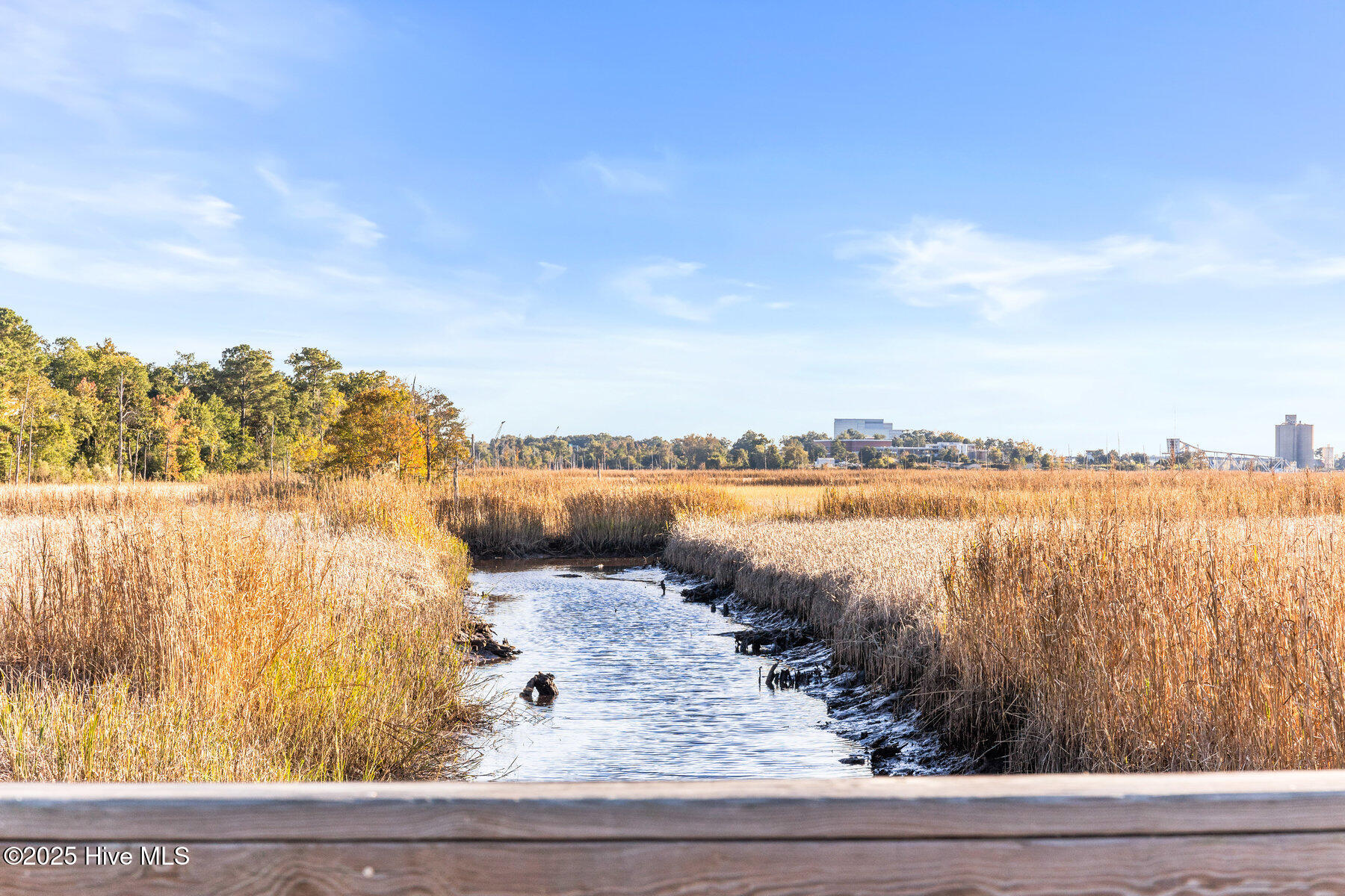 100537930 | Photo 67