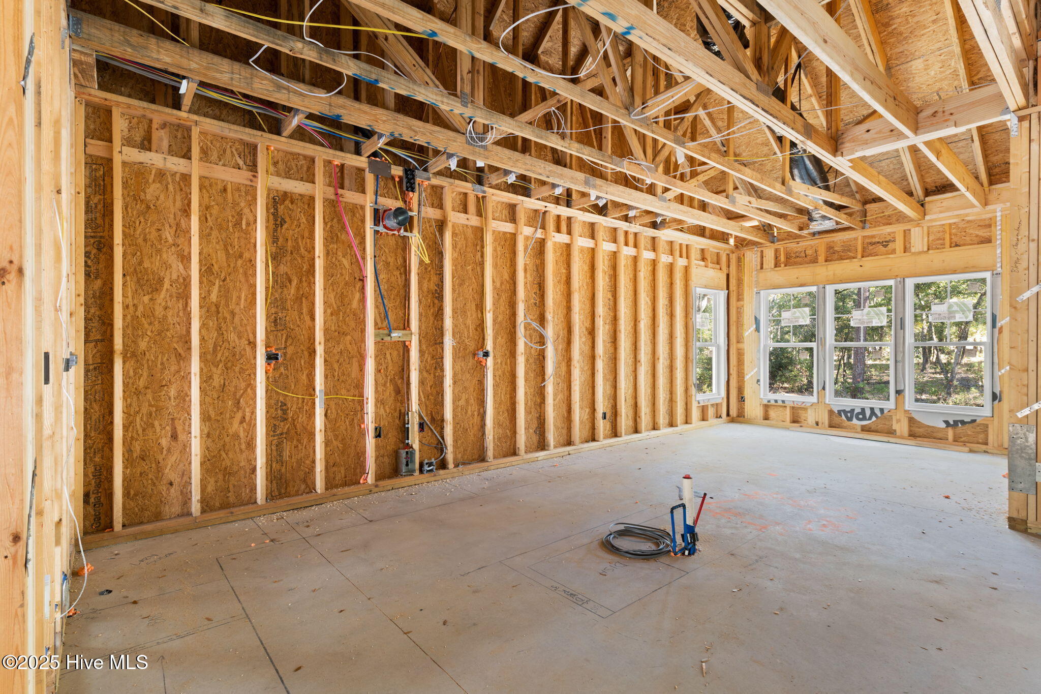 100546687 | Photo 12