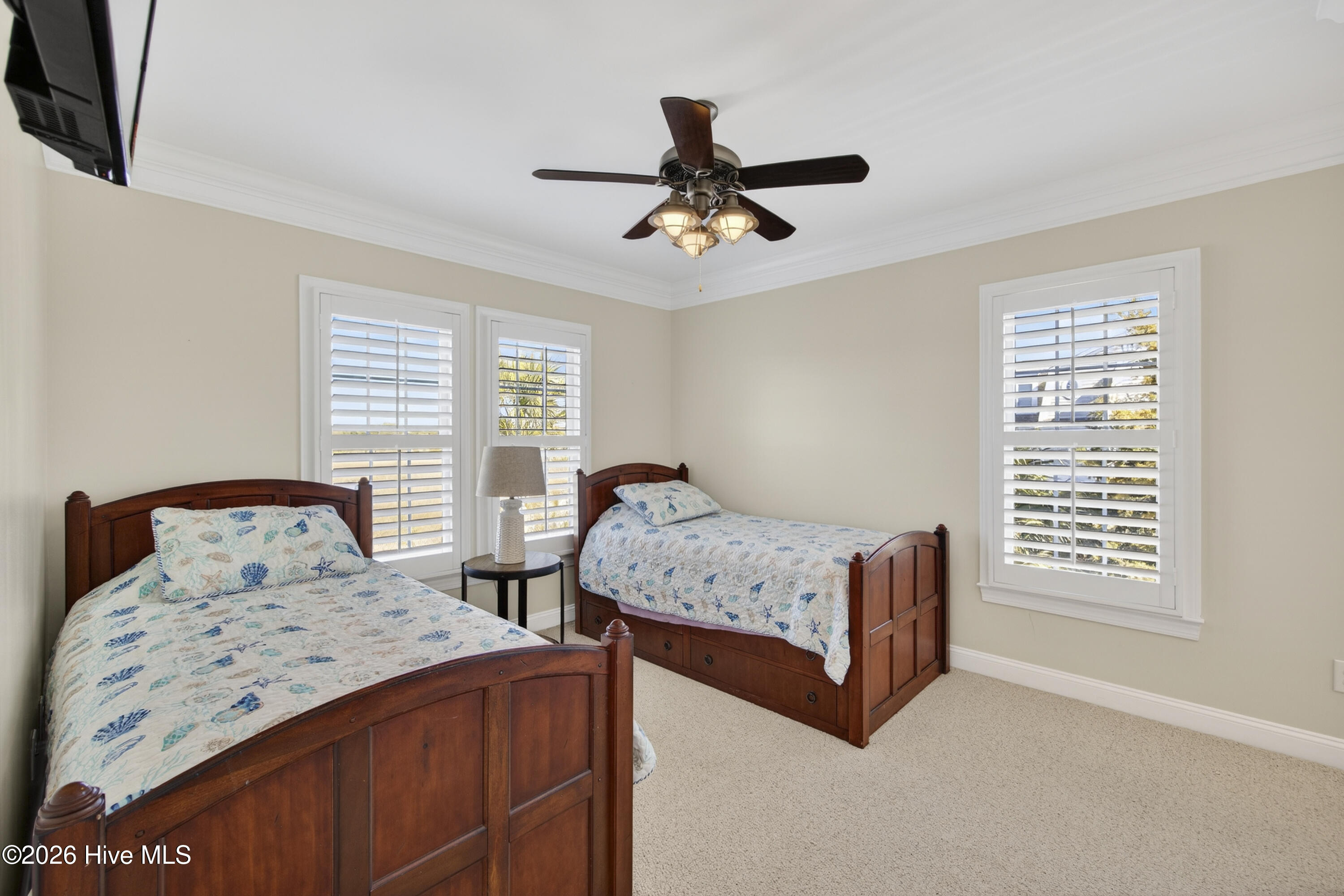 100554981 | Photo 93