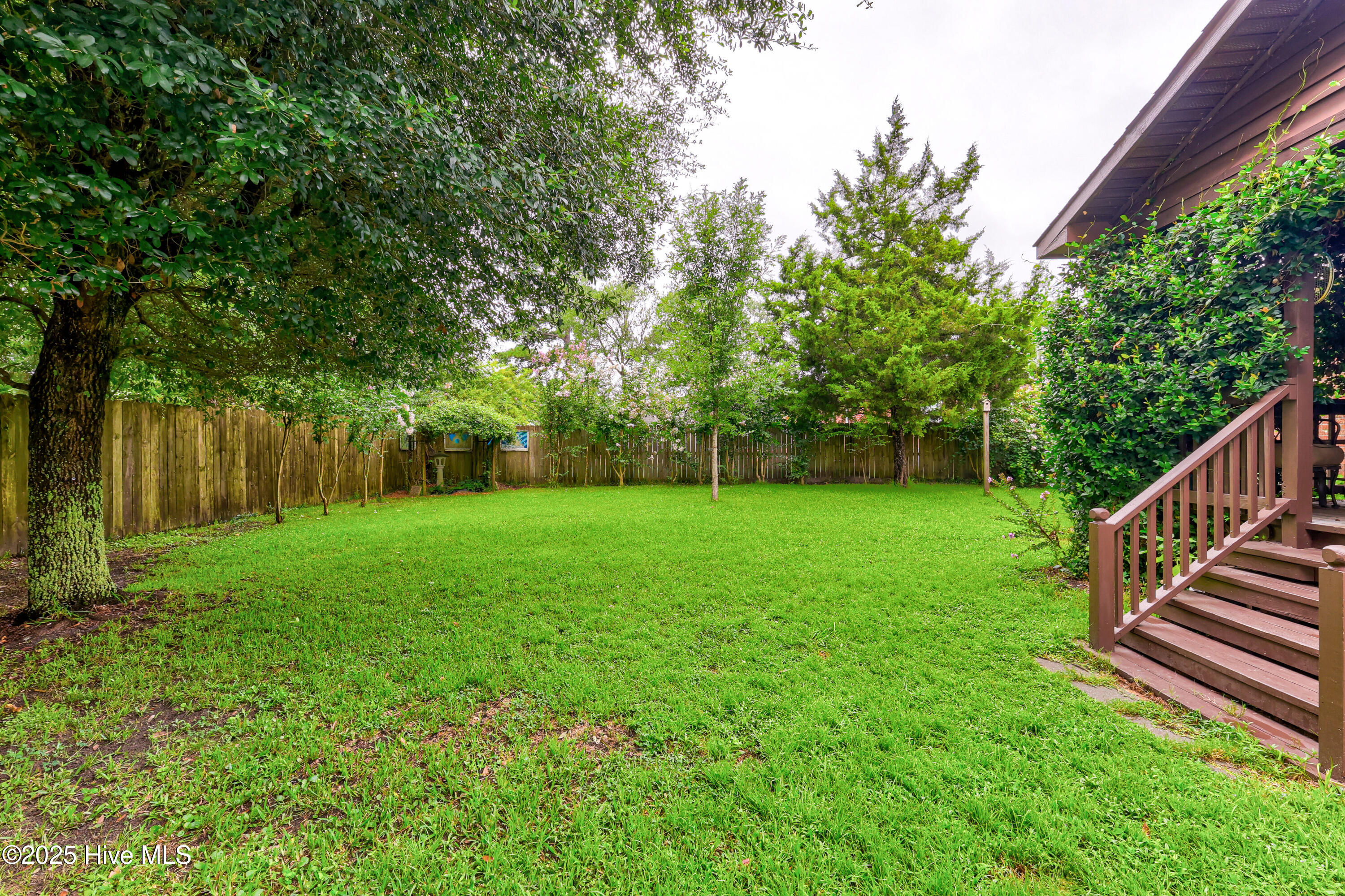 100537162 | Photo 29