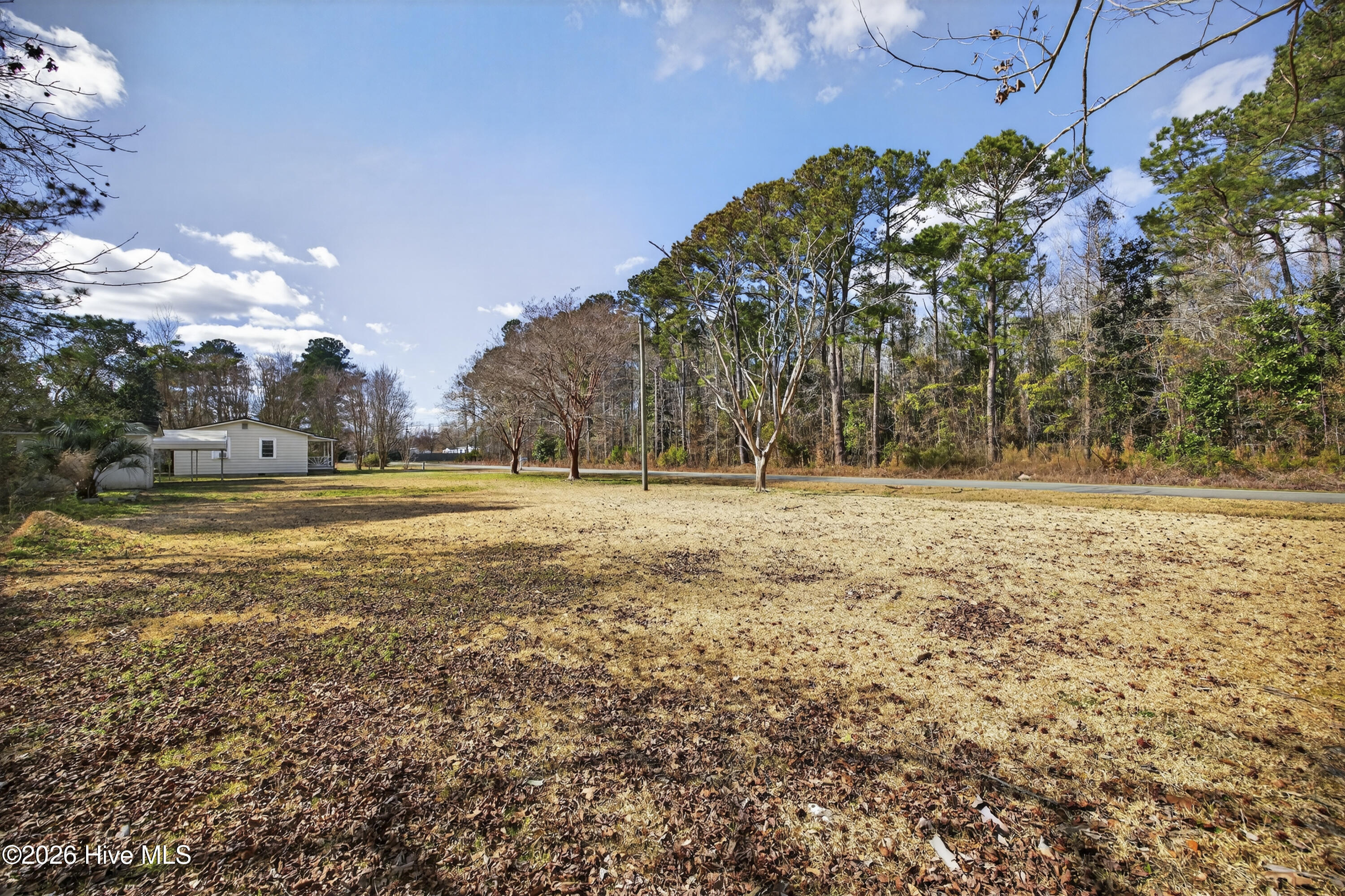 100556676 | Photo 28