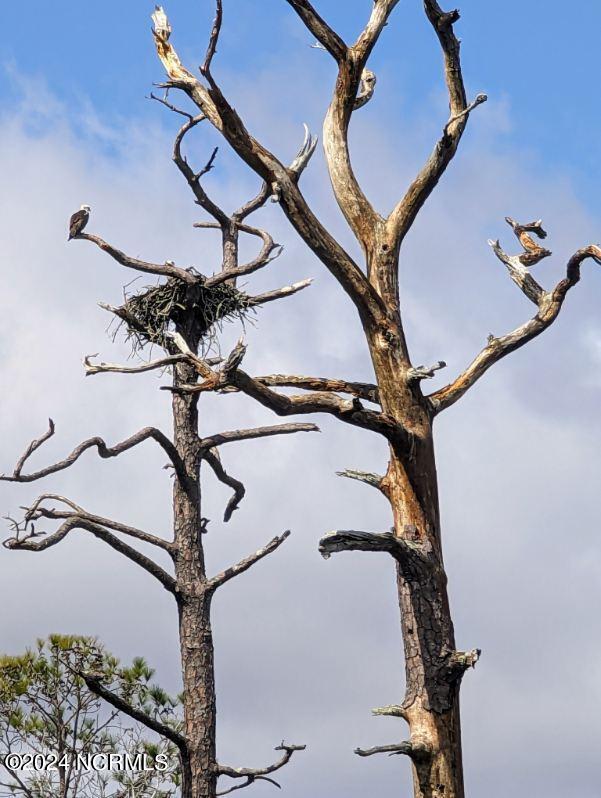 100559912 | Photo 21