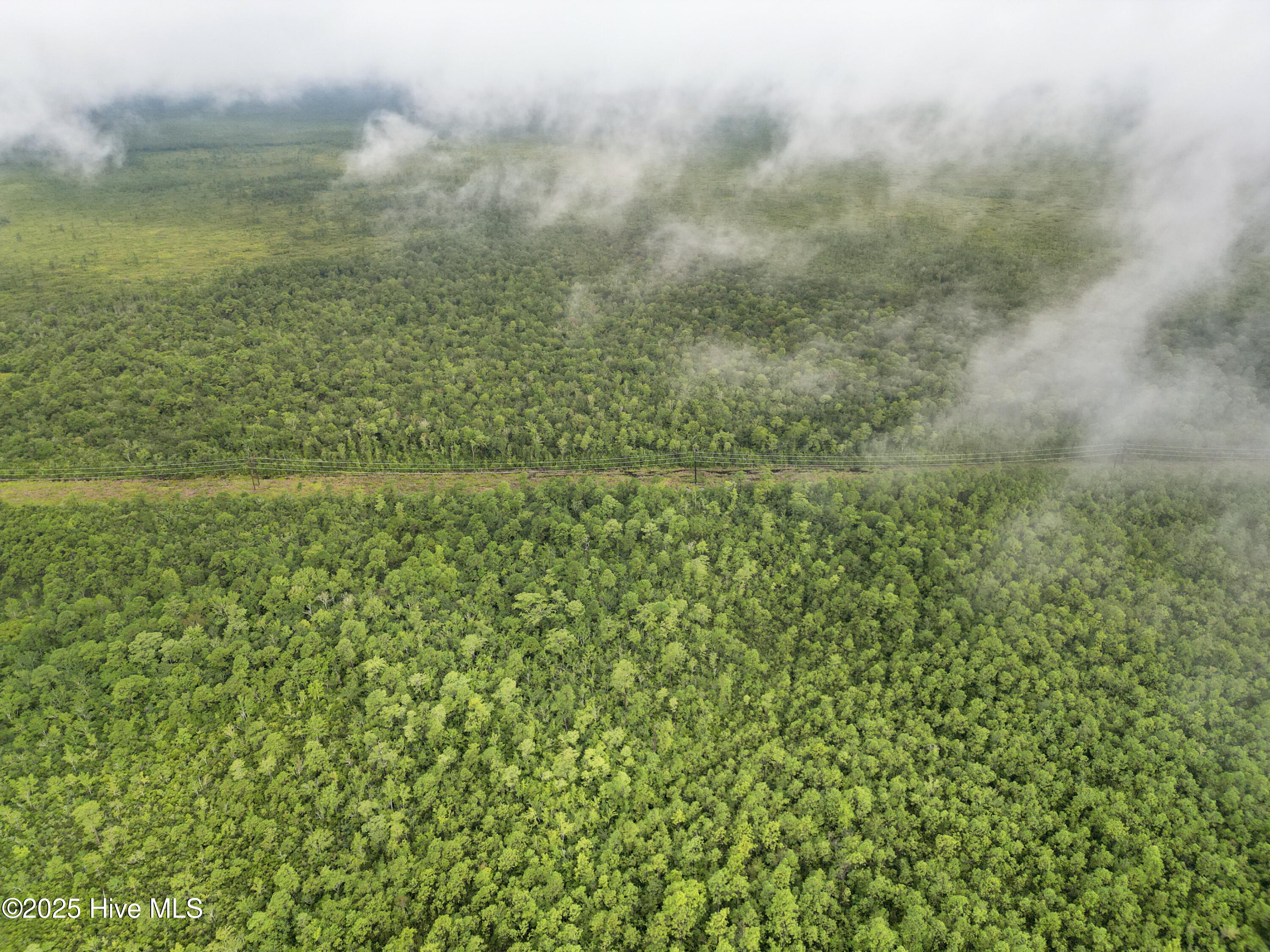 100525966 | Photo 14