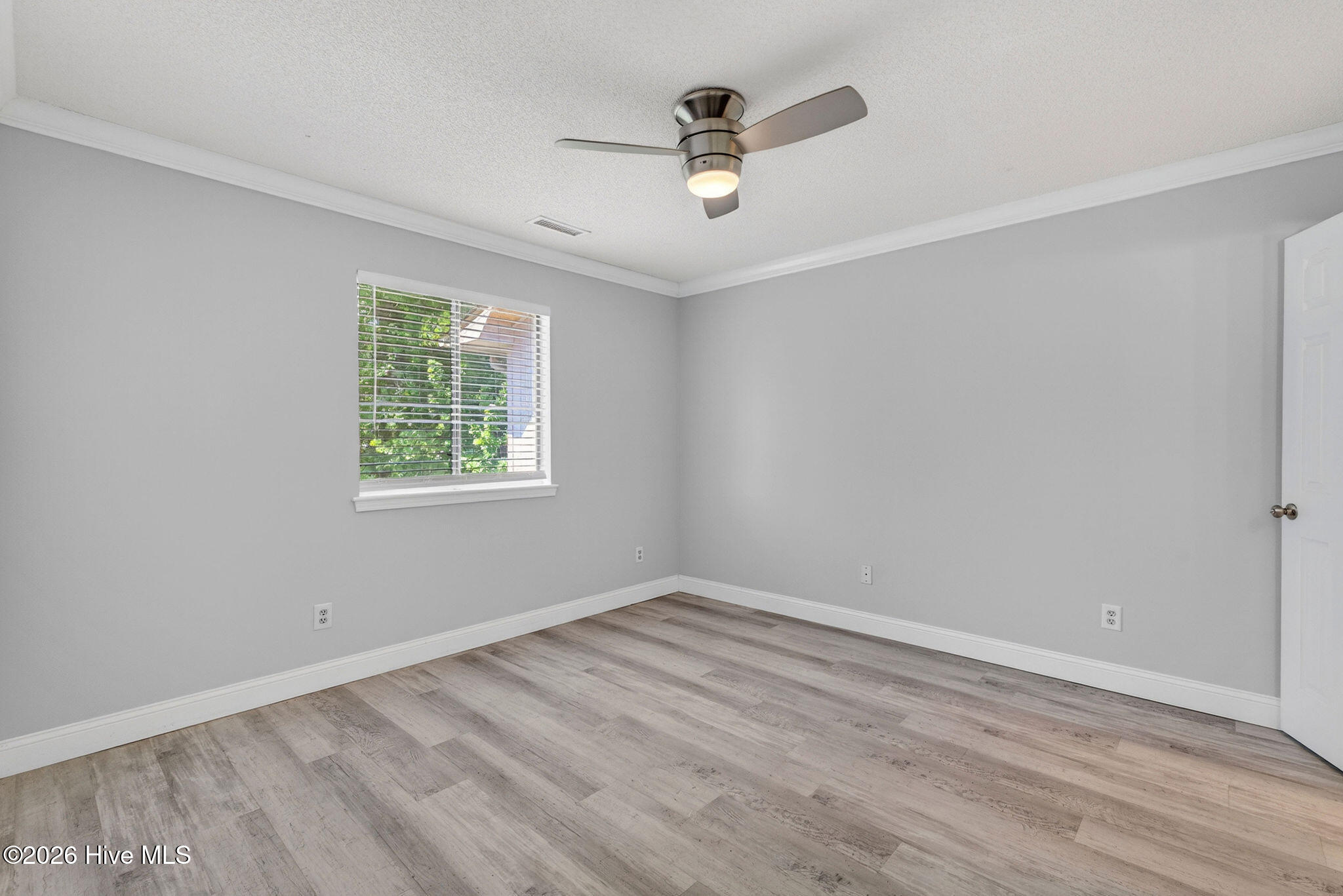 100569384 | Photo 13