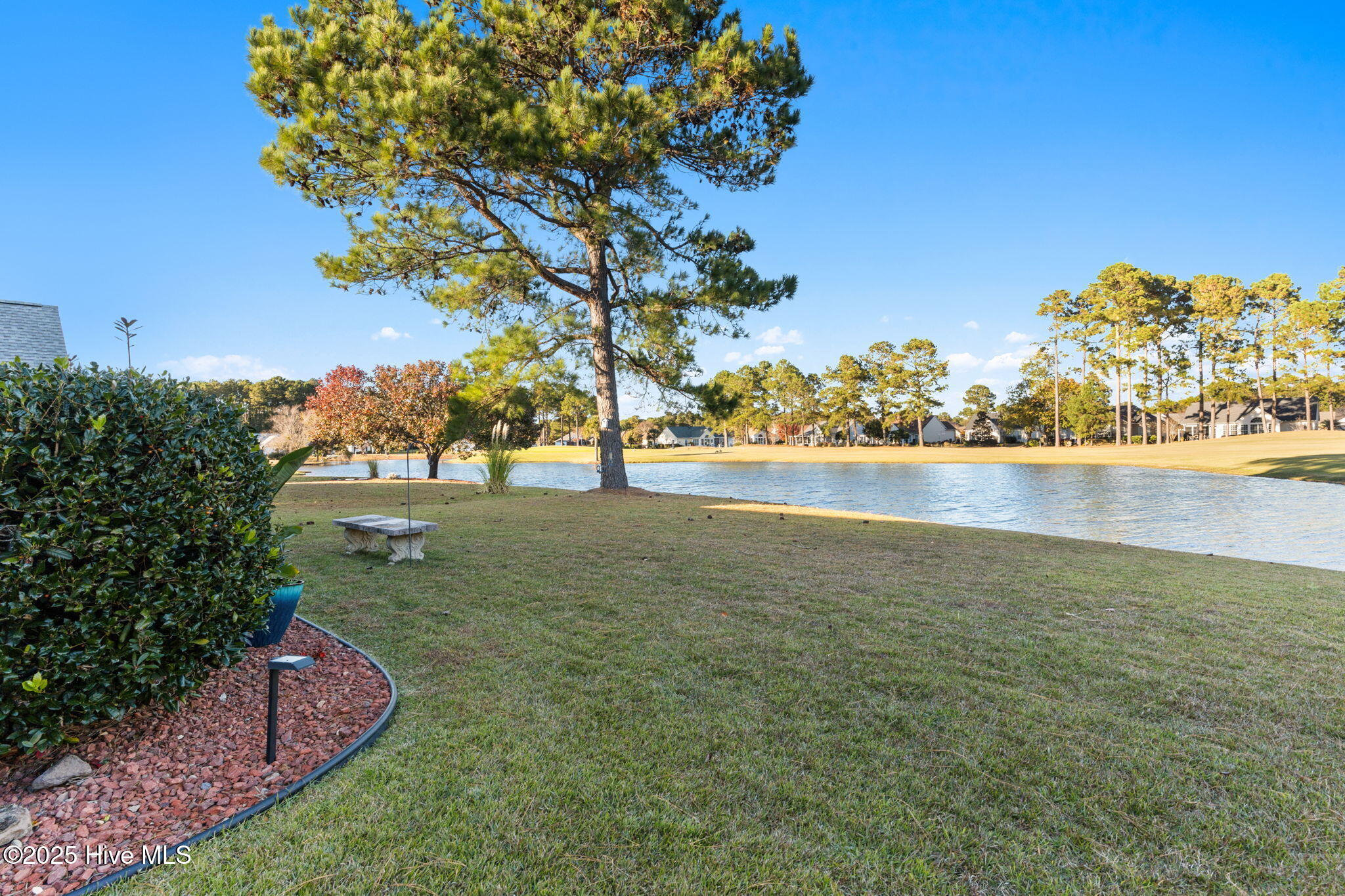 100543261 | Photo 30