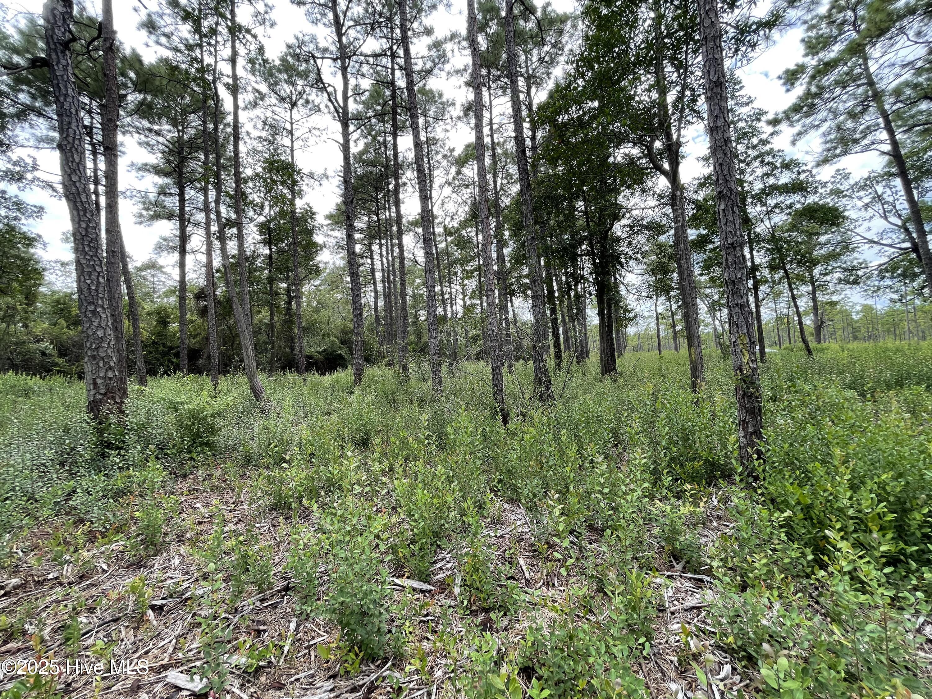 100527891 | Photo 21