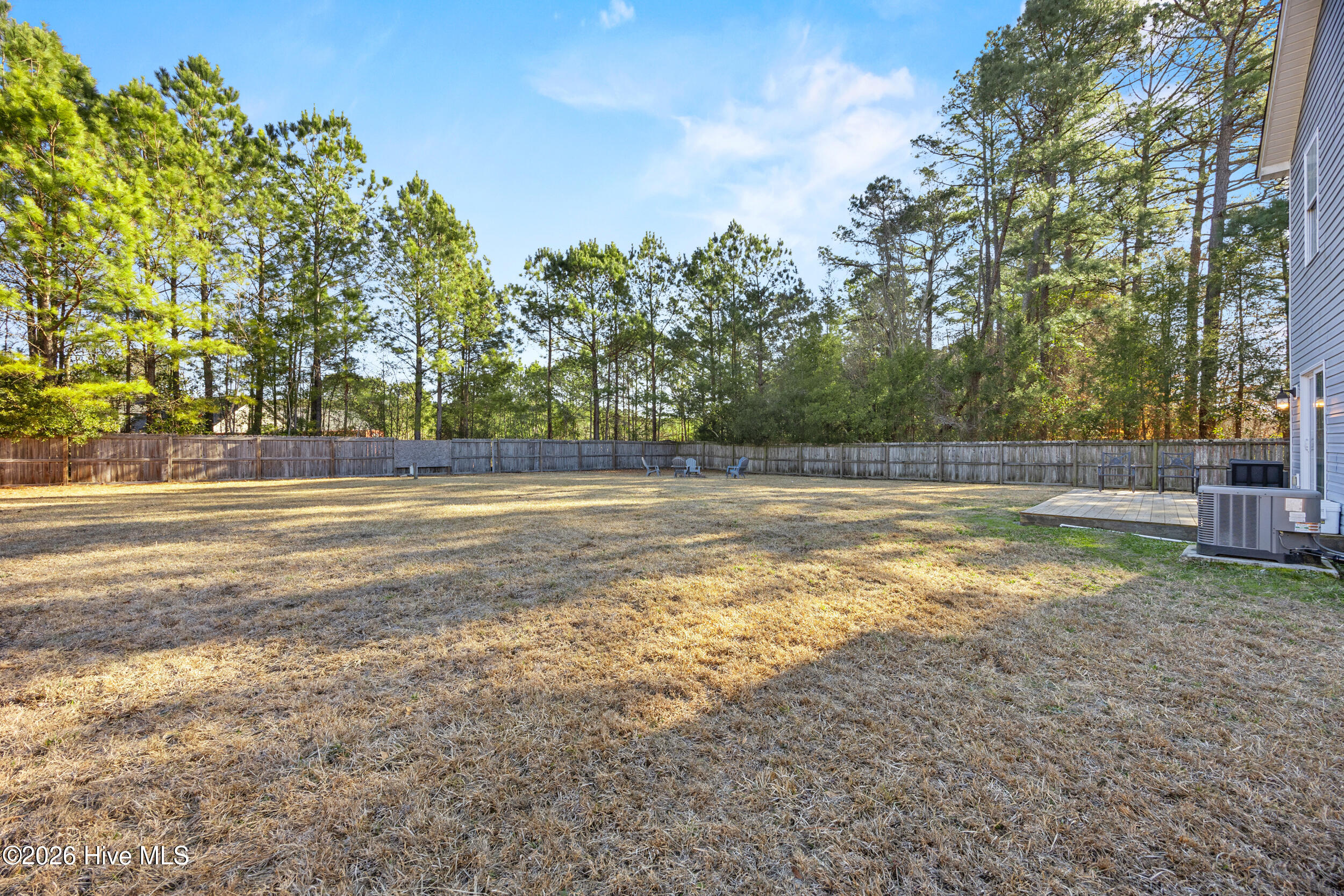 100554193 | Photo 33