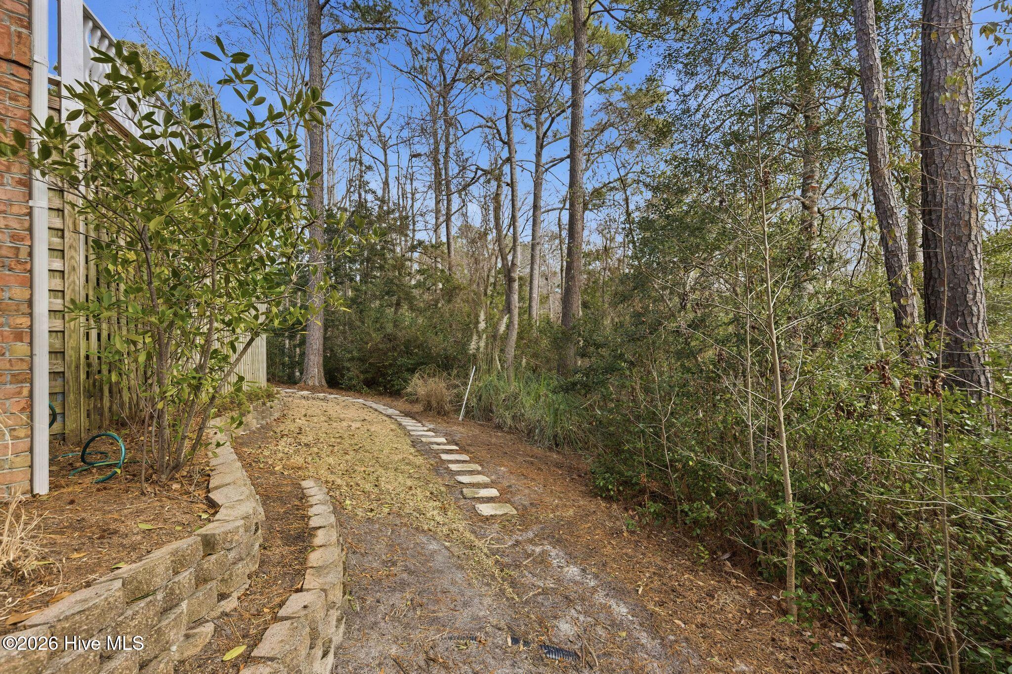 100565083 | Photo 89