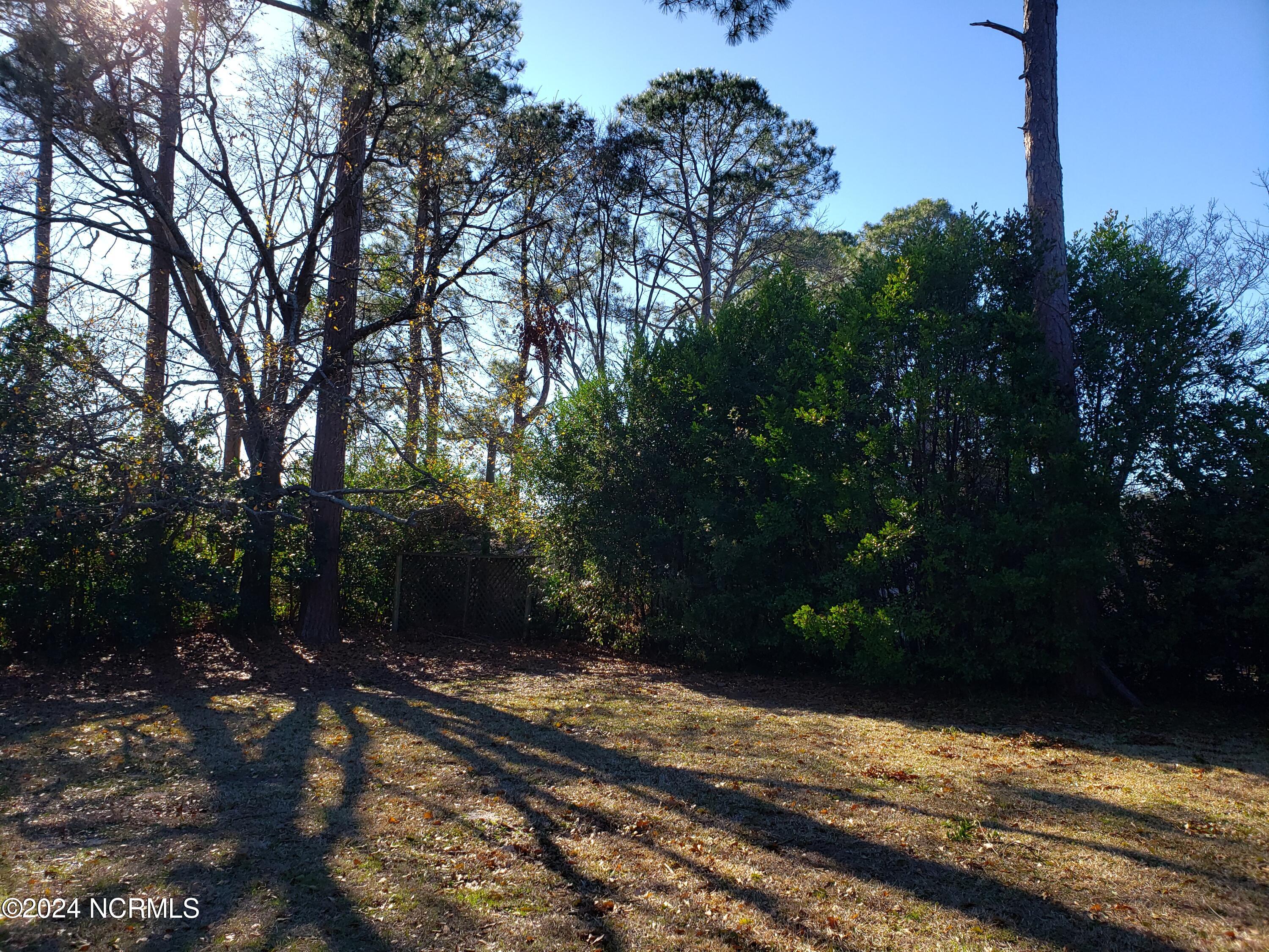 100551642 | Photo 32