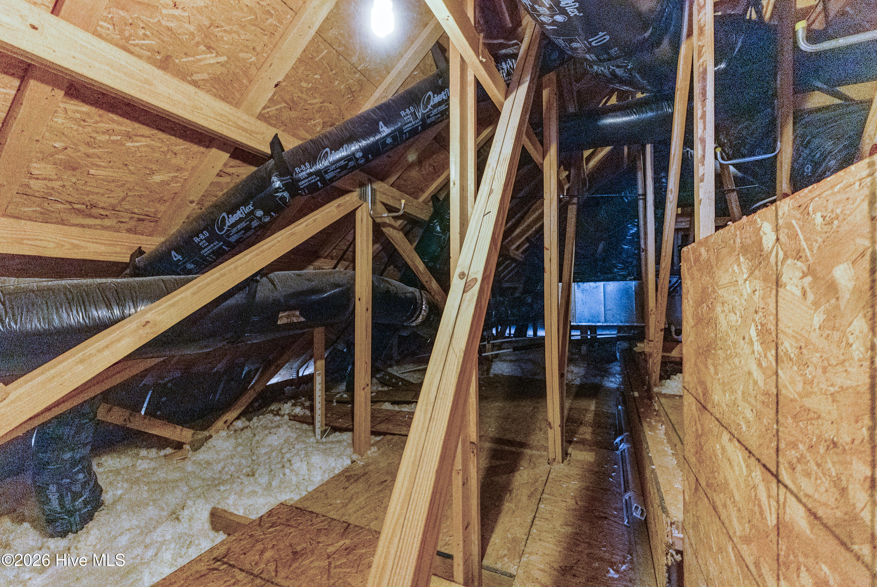 100555586 | Photo 31