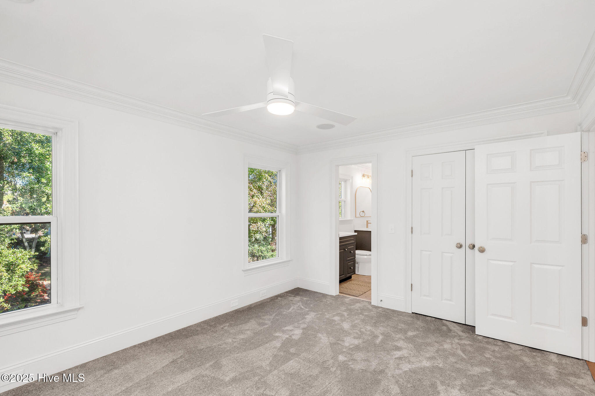 100540097 | Photo 35