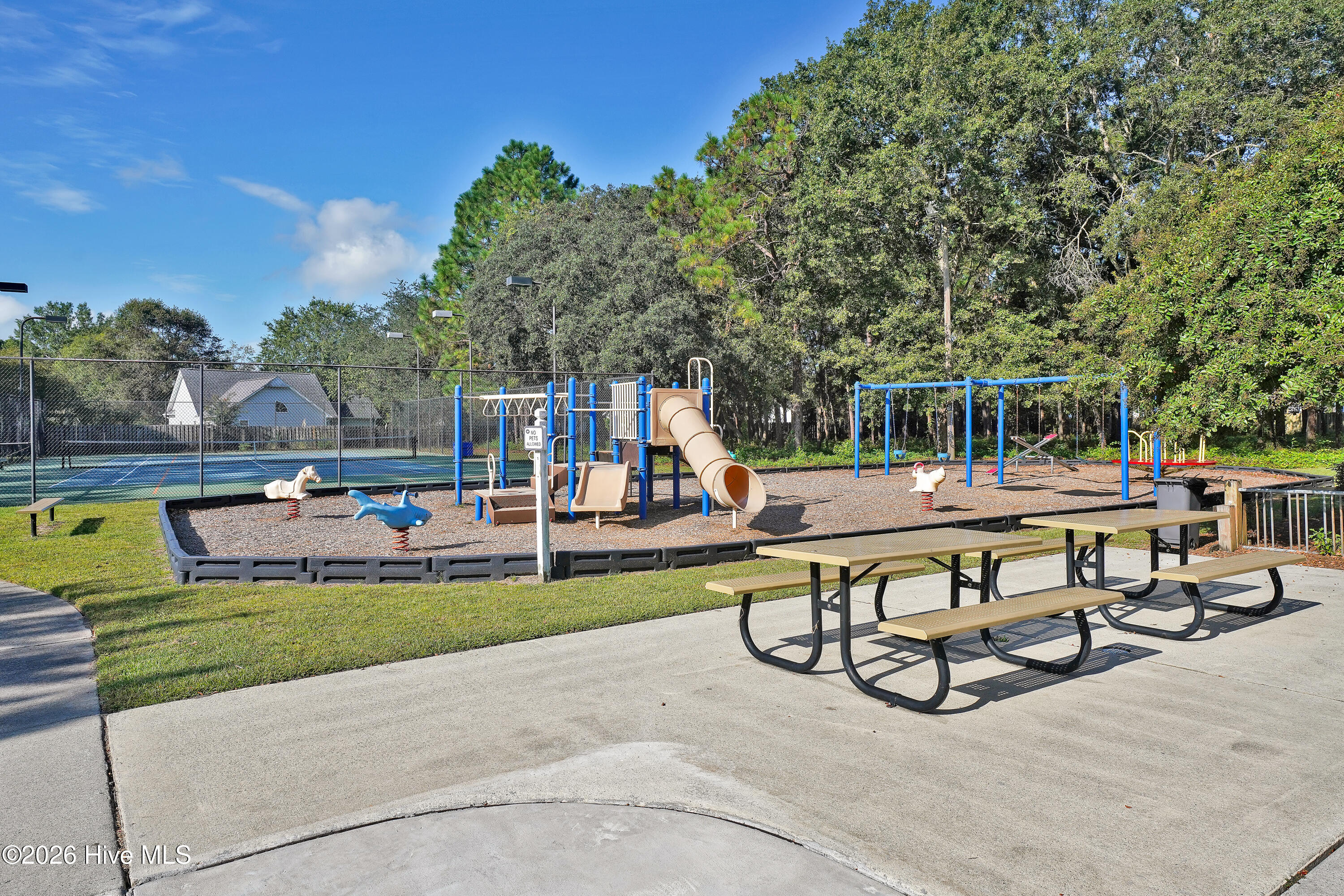 100550407 | Photo 37