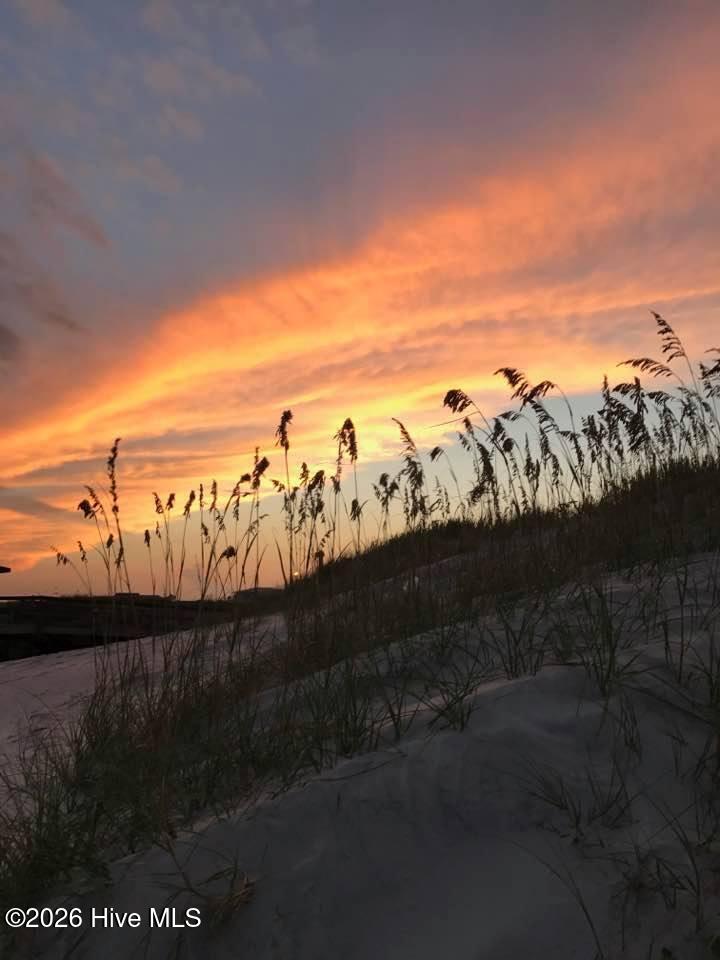 100564386 | Photo 87