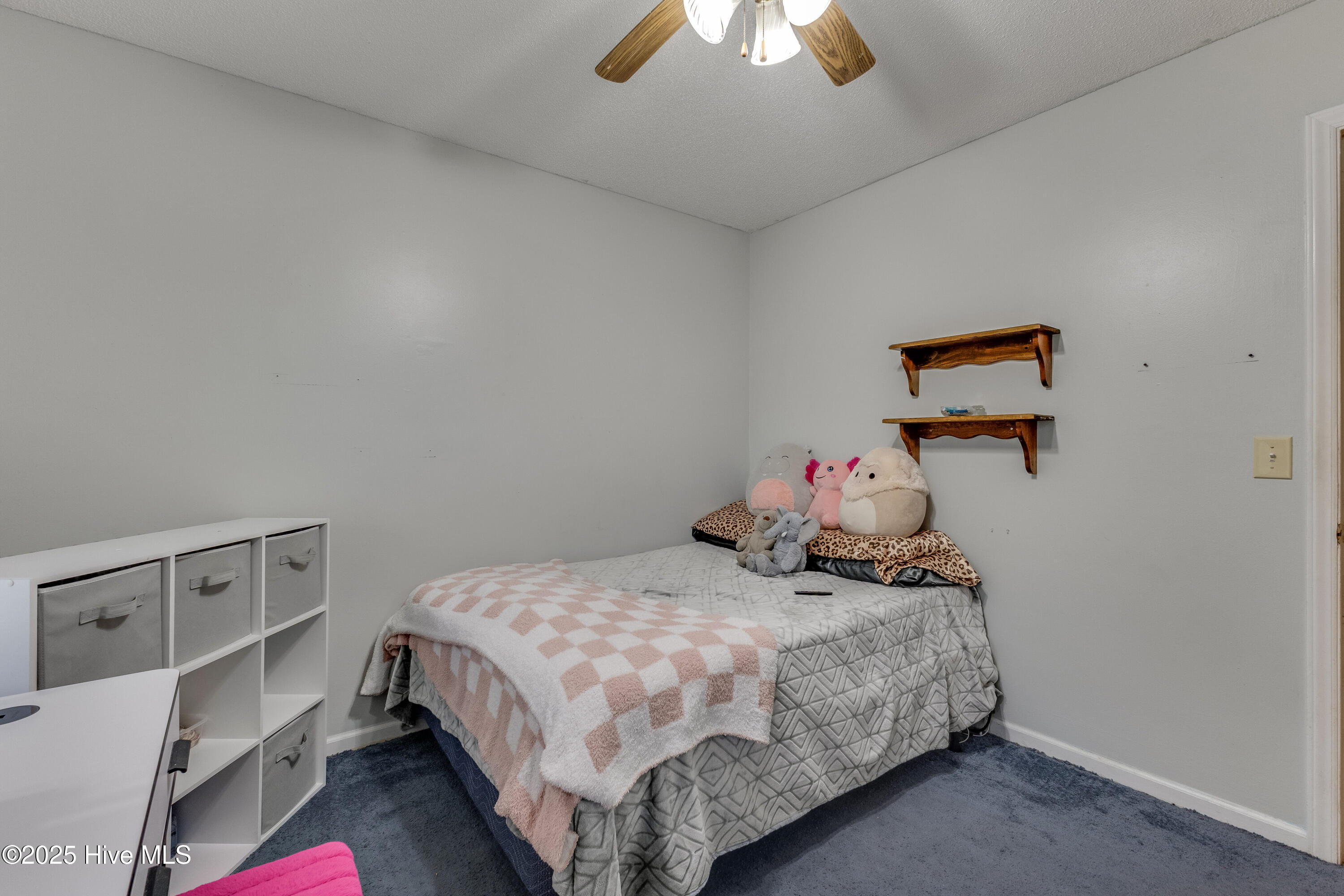 100537162 | Photo 24