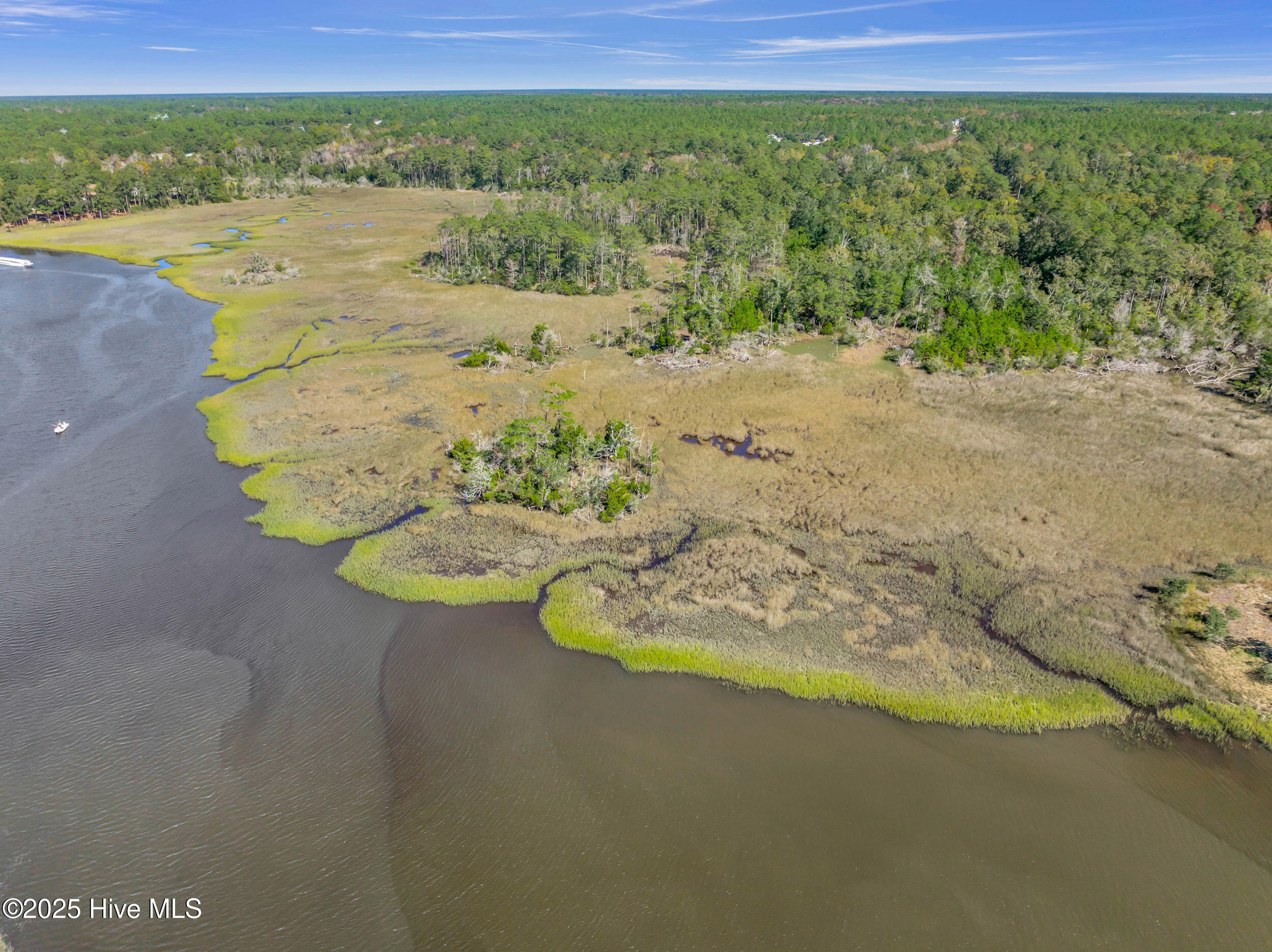 100537982 | Photo 13