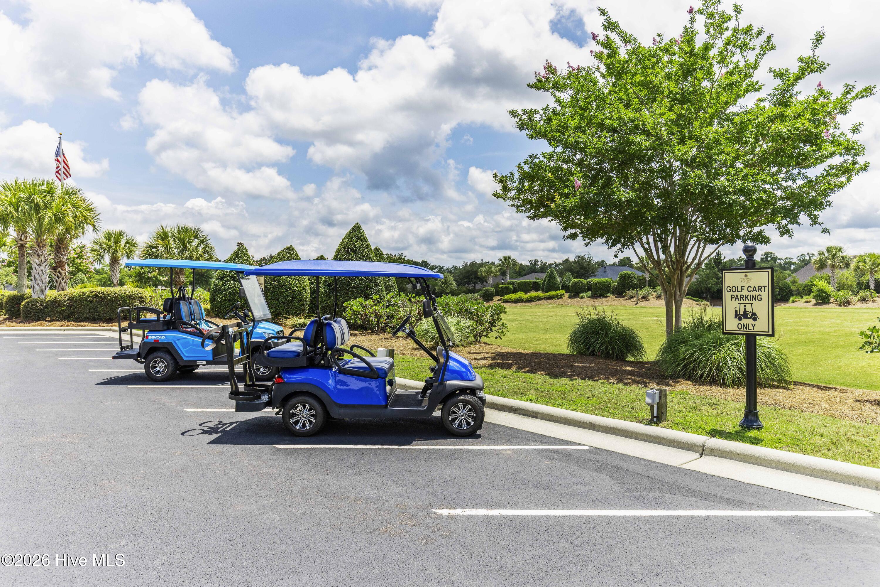 100548778 | Photo 11