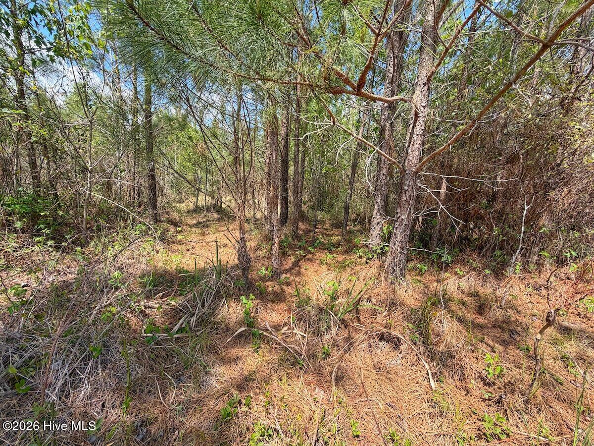 0 Guinea Mill Road, Ernul, NC, 28527