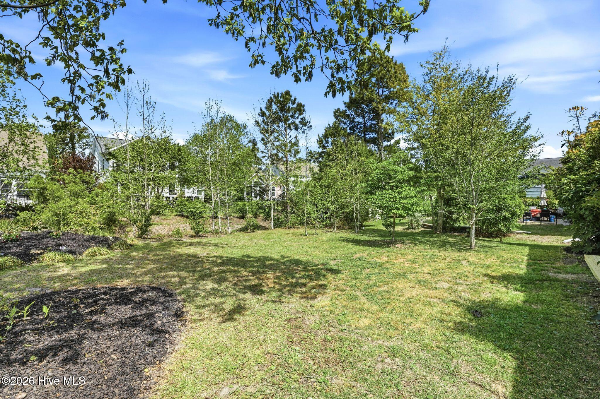 100566461 | Photo 51