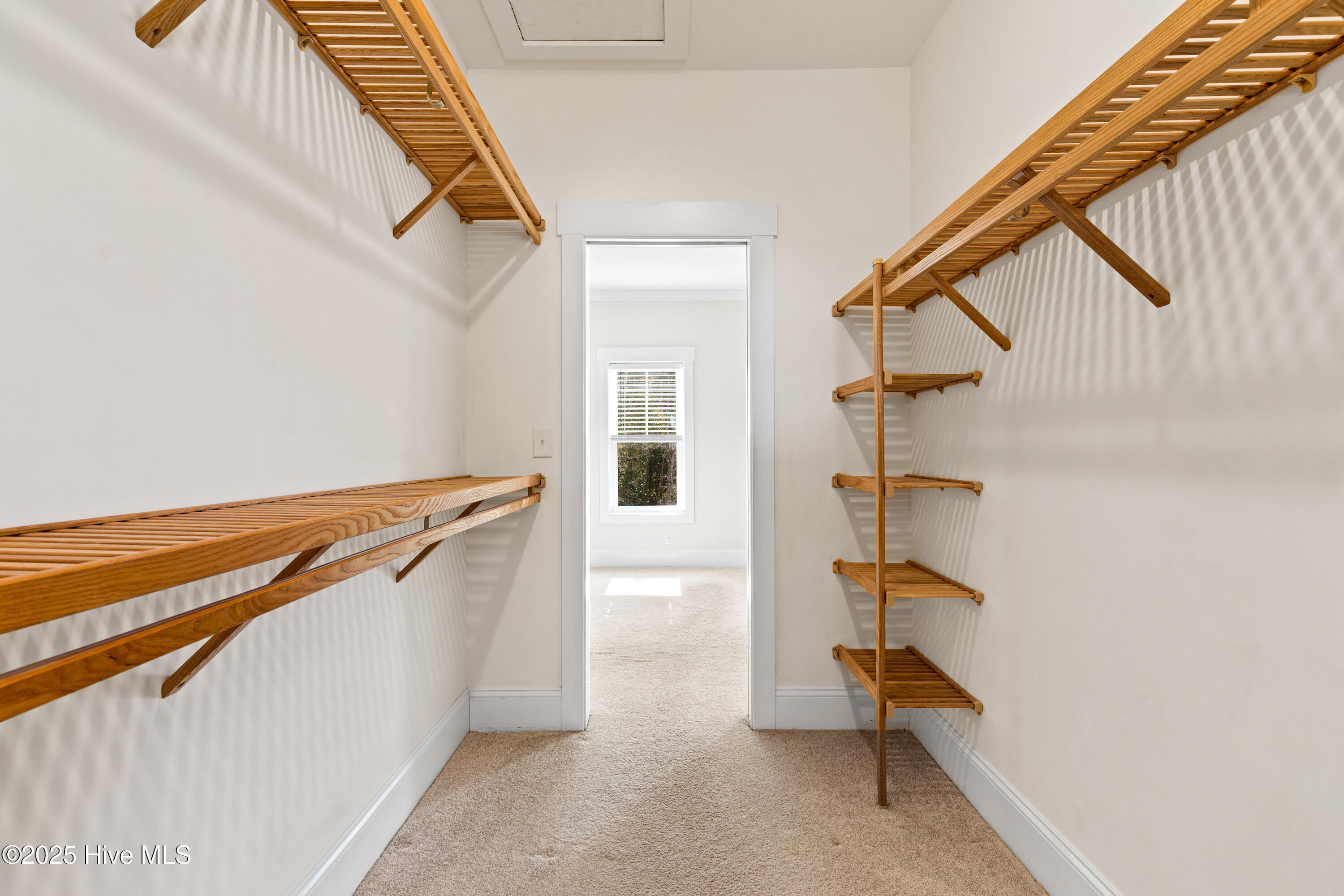 100529513 | Photo 28