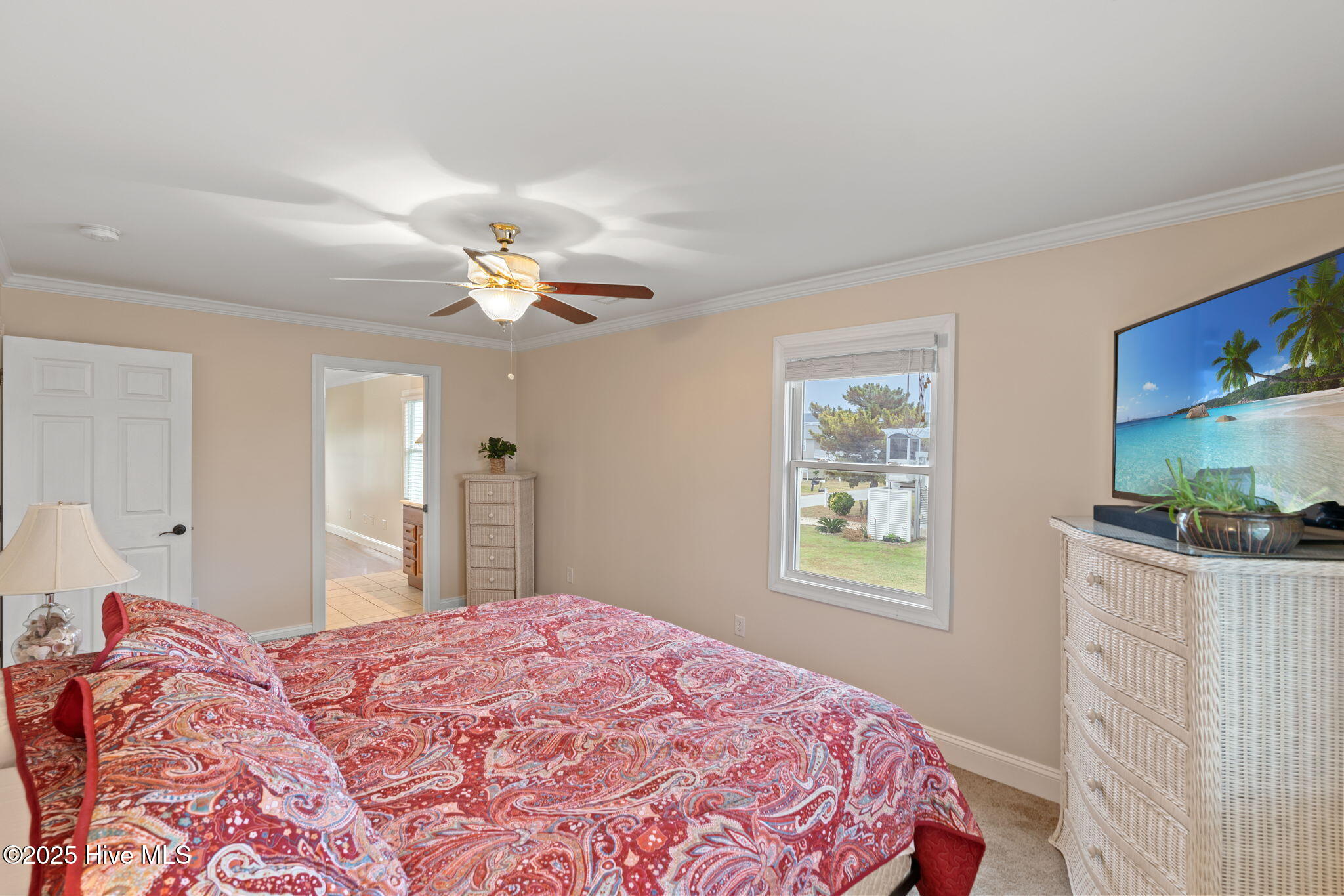 100542792 | Photo 19