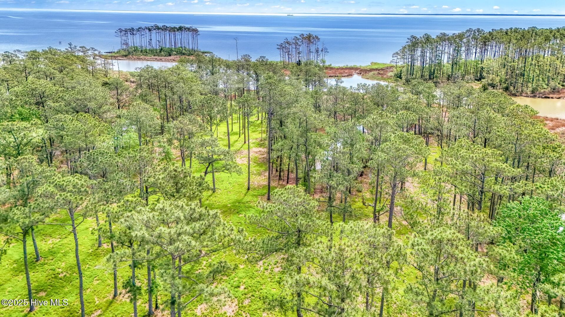 175 River Watch Road, Oriental, NC, 28571