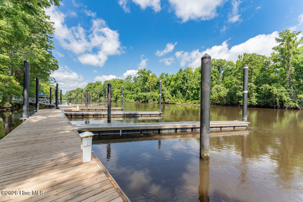 100558848 | Photo 50