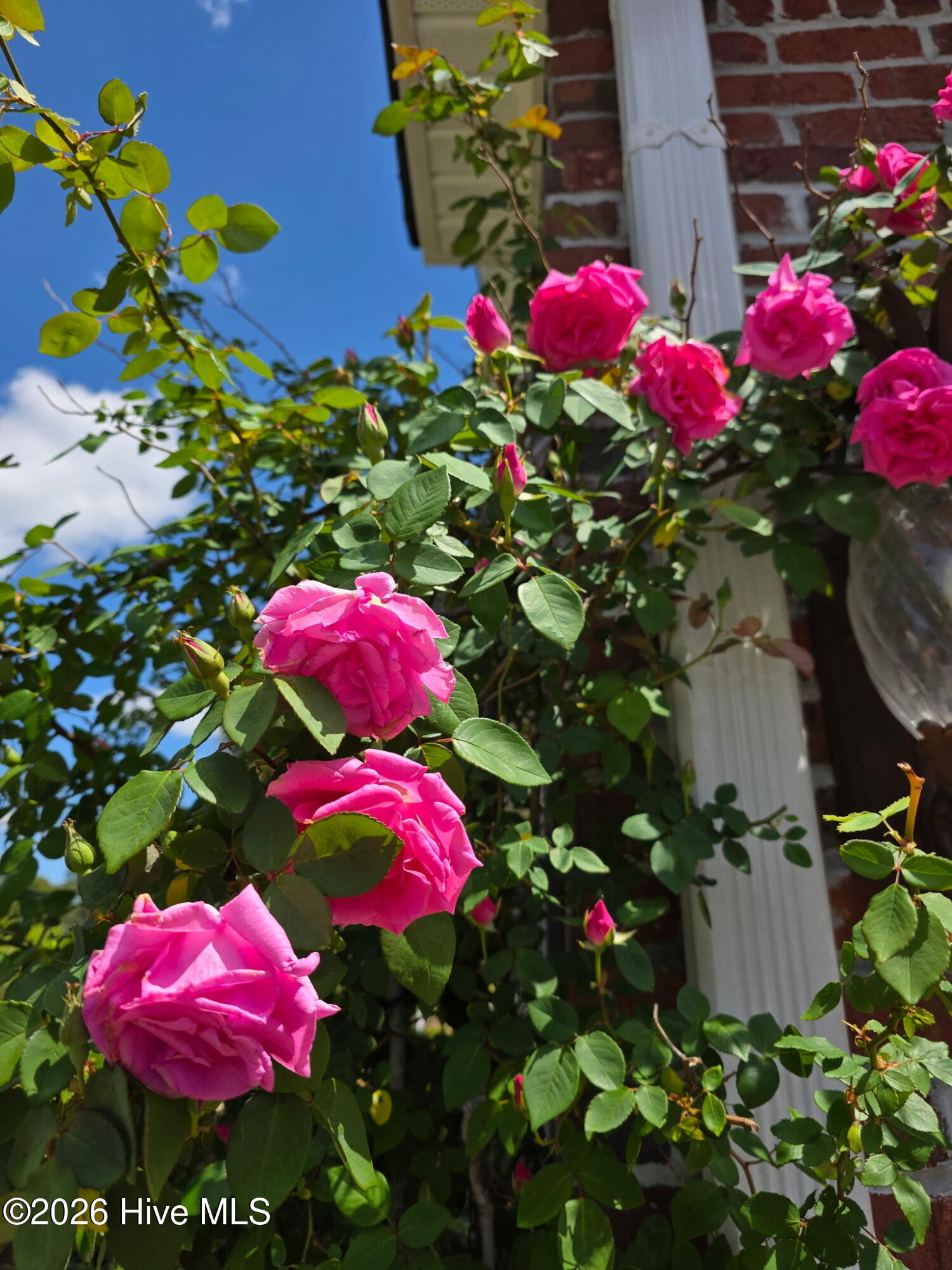 100555309 | Photo 38