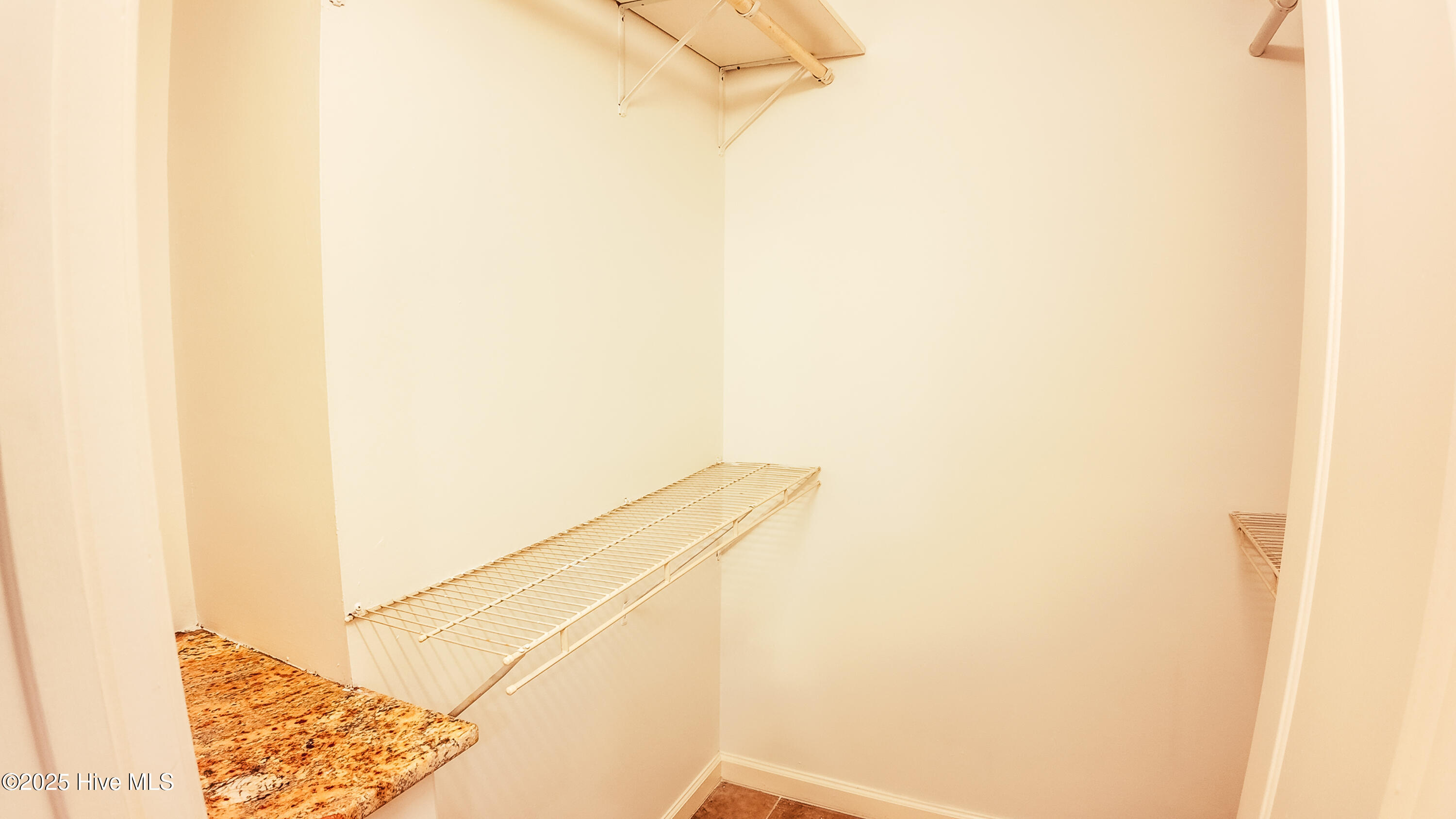 100517636 | Photo 23