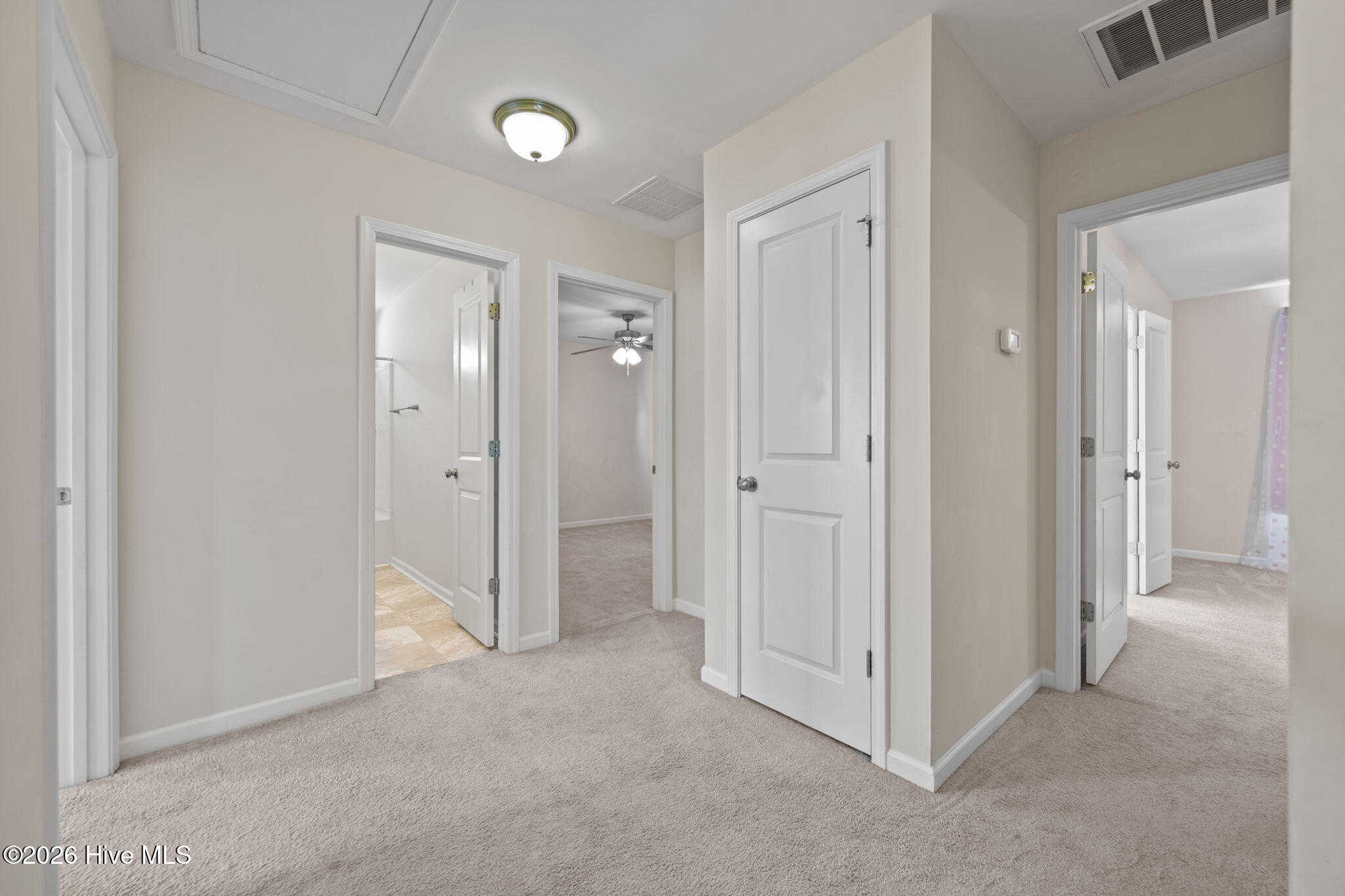 100555792 | Photo 32