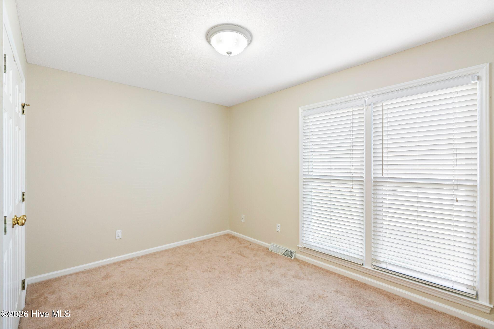 100556381 | Photo 38