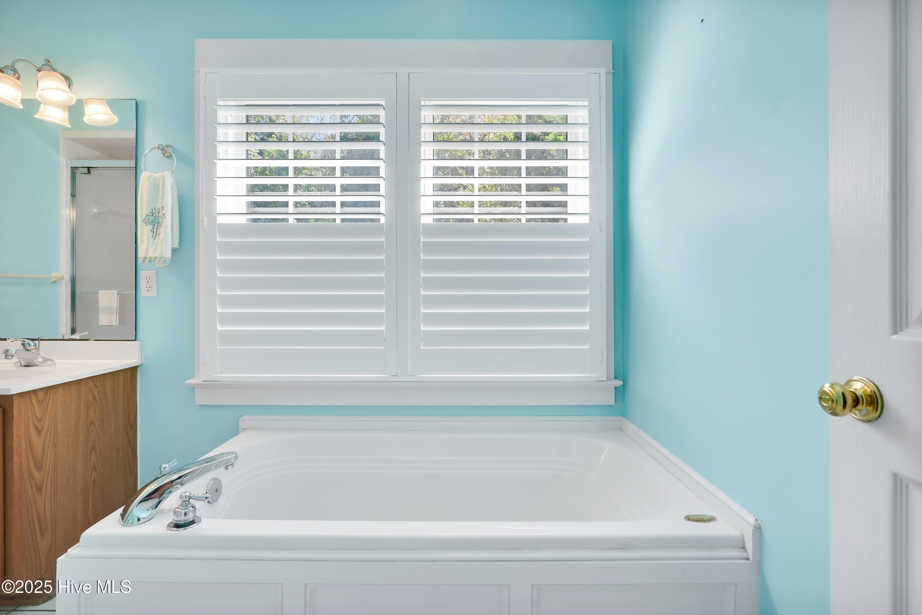 100535392 | Photo 16