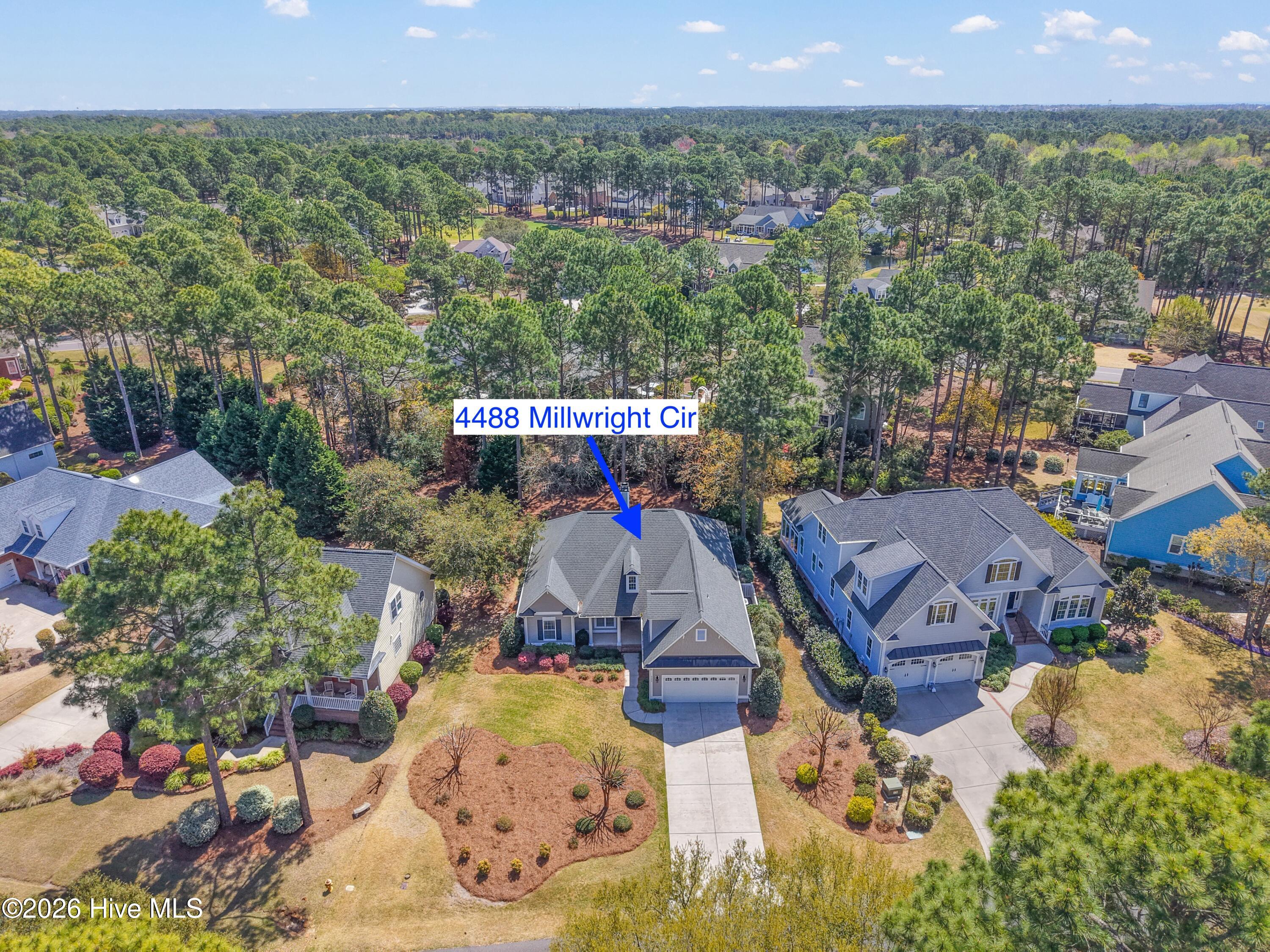 100563713 | Photo 44