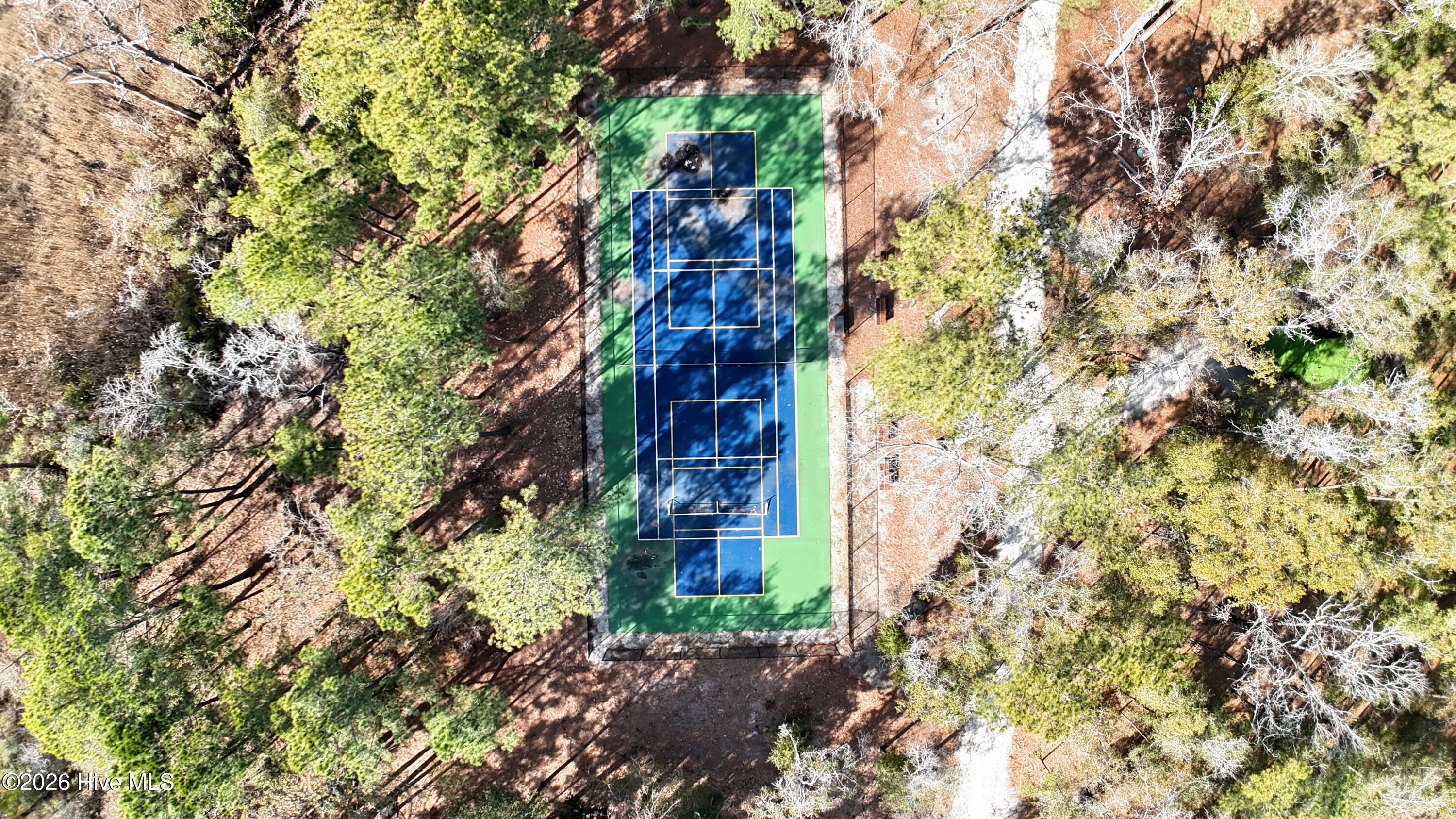 100553551 | Photo 13