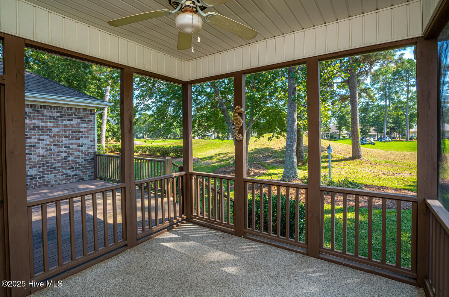 100538756 | Photo 34