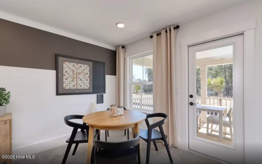 100555741 | Photo 17