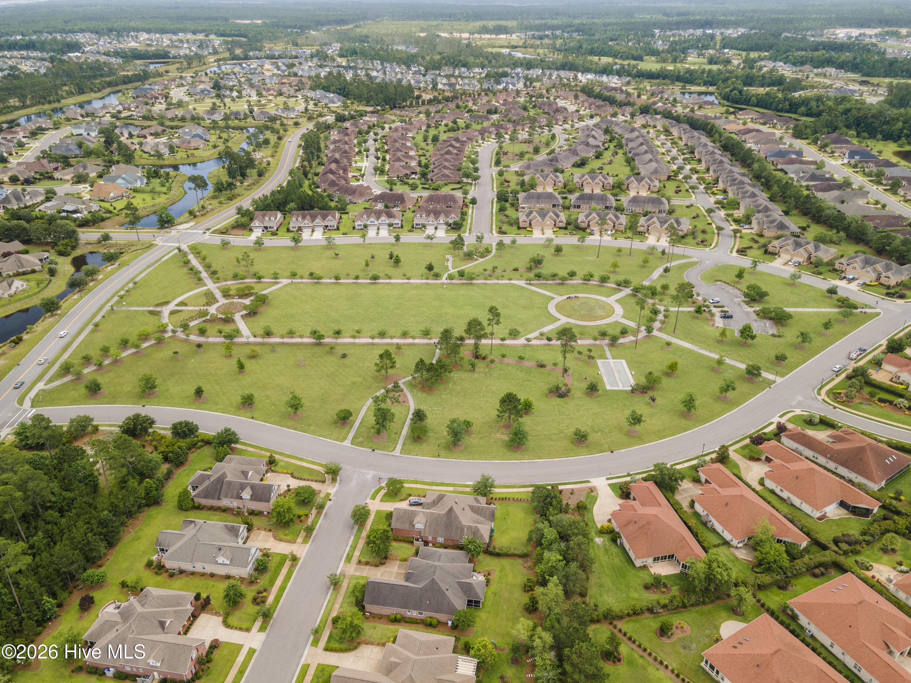 100557965 | Photo 44