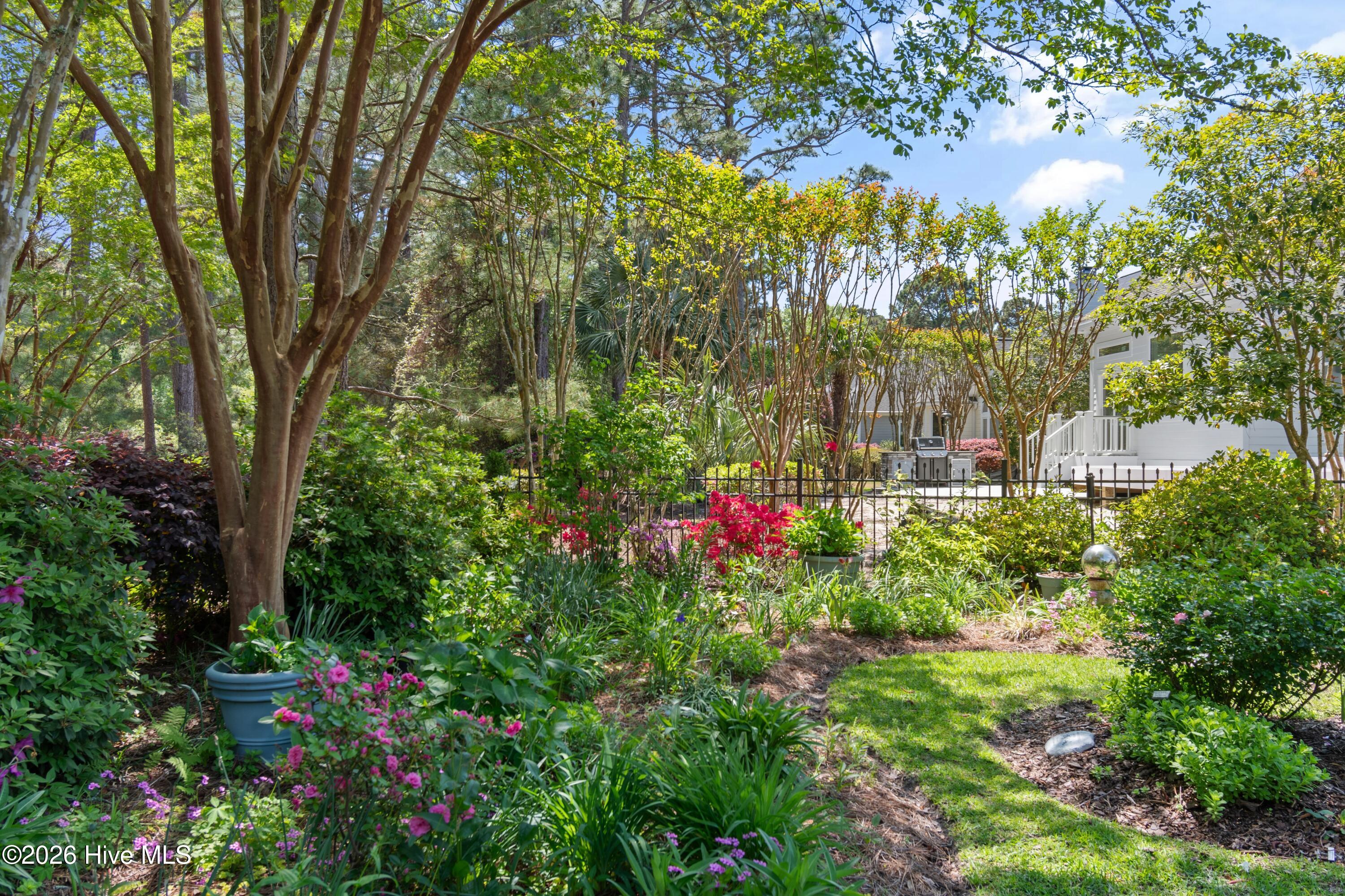 100567309 | Photo 64