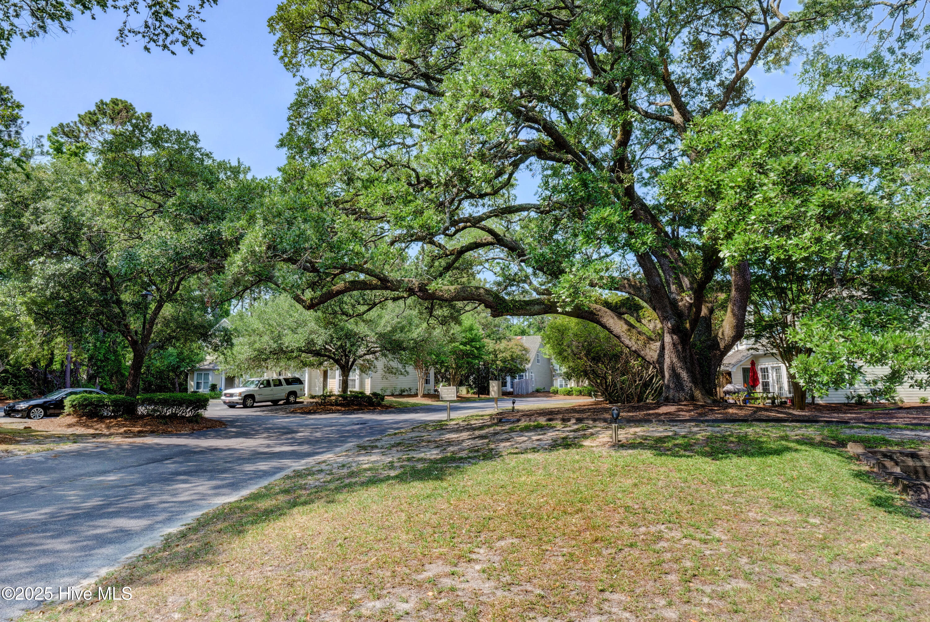 100557867 | Photo 33