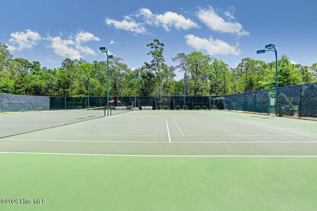 100557018 | Photo 84