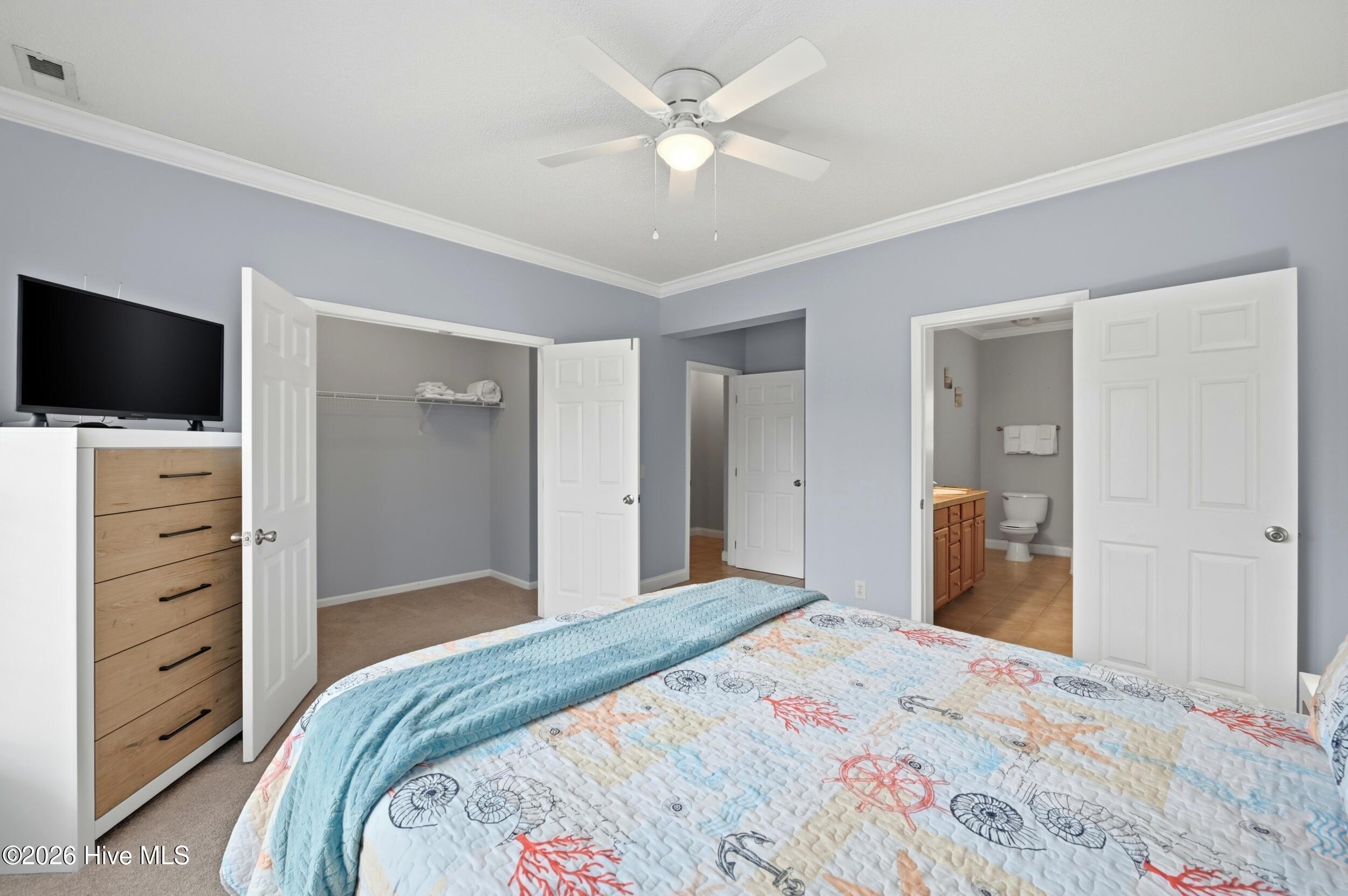 100557500 | Photo 23