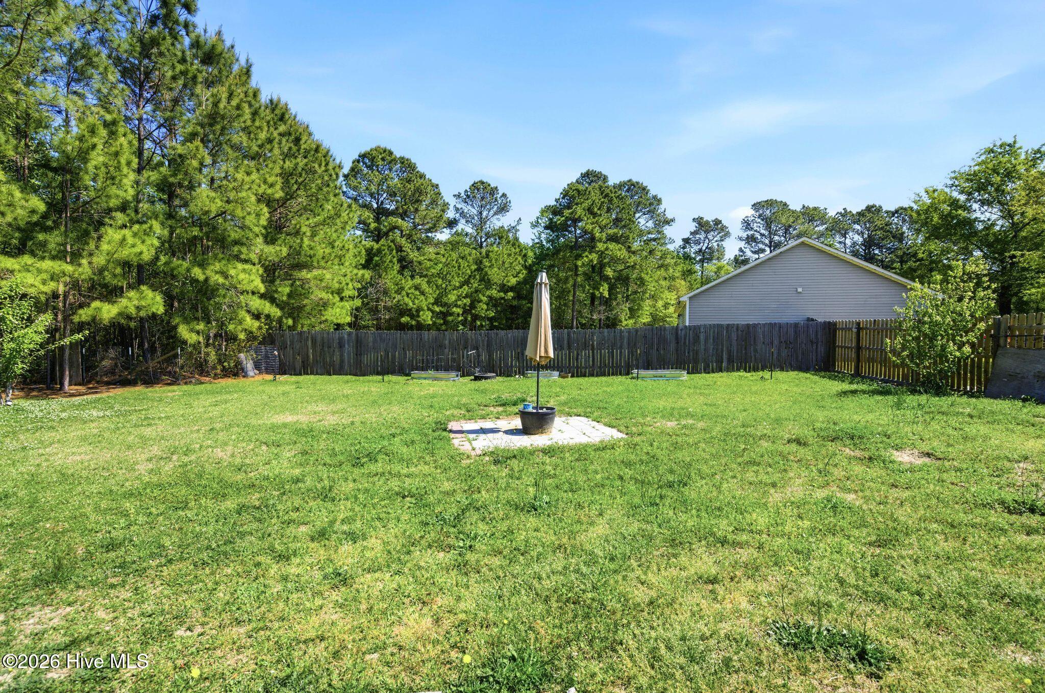 100567407 | Photo 36