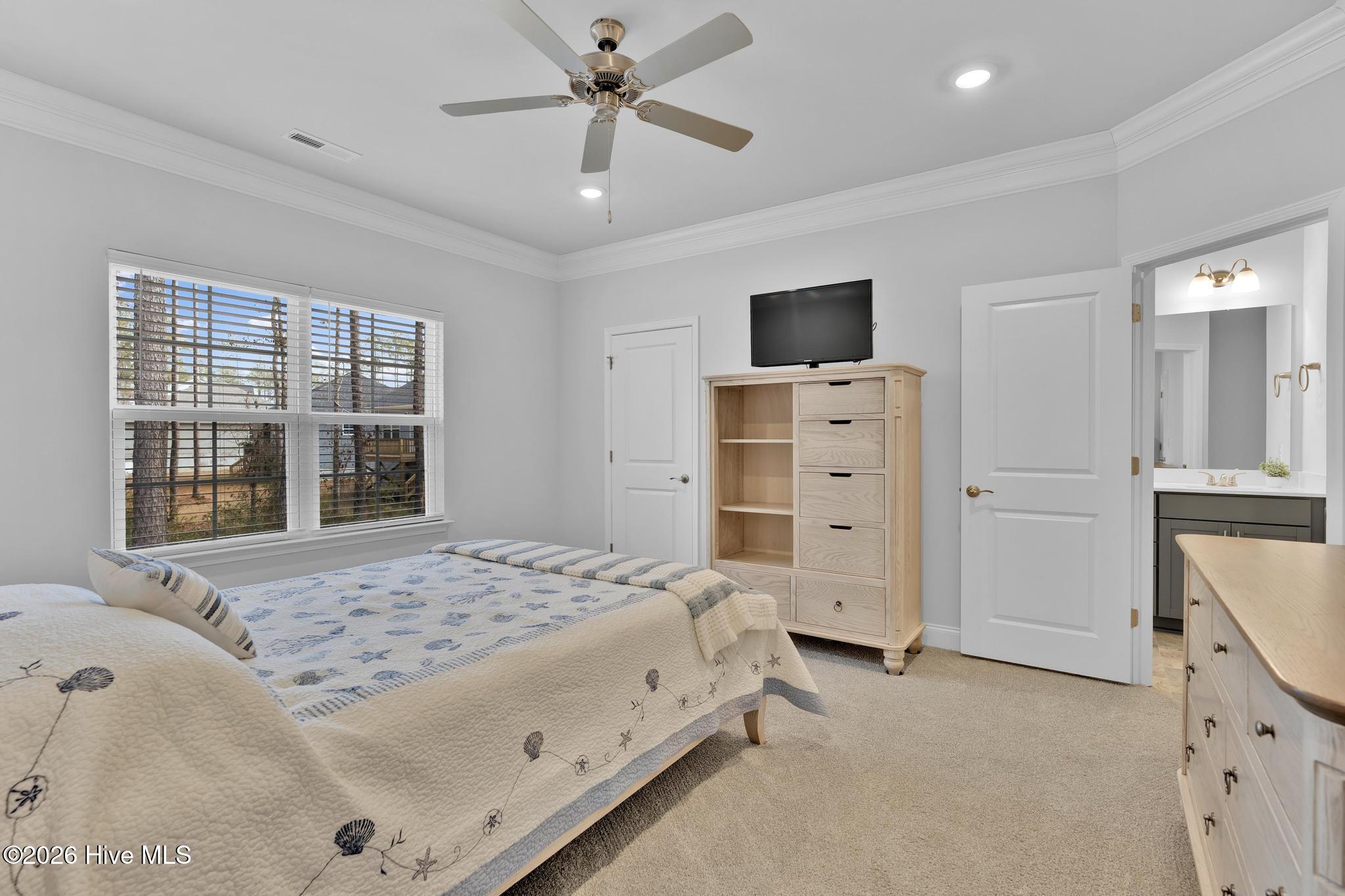 100553643 | Photo 19