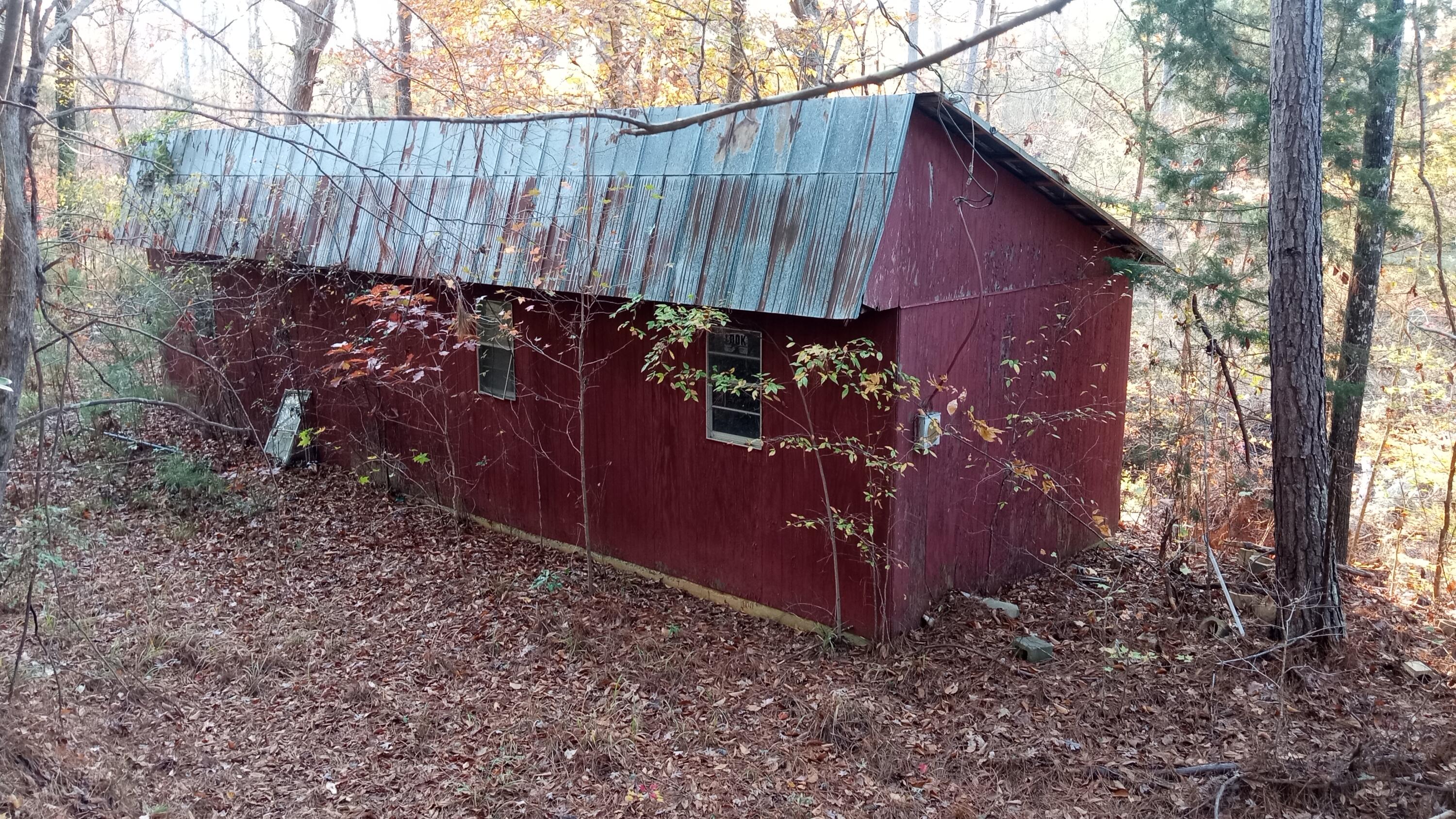 IMG_20241126_155823444