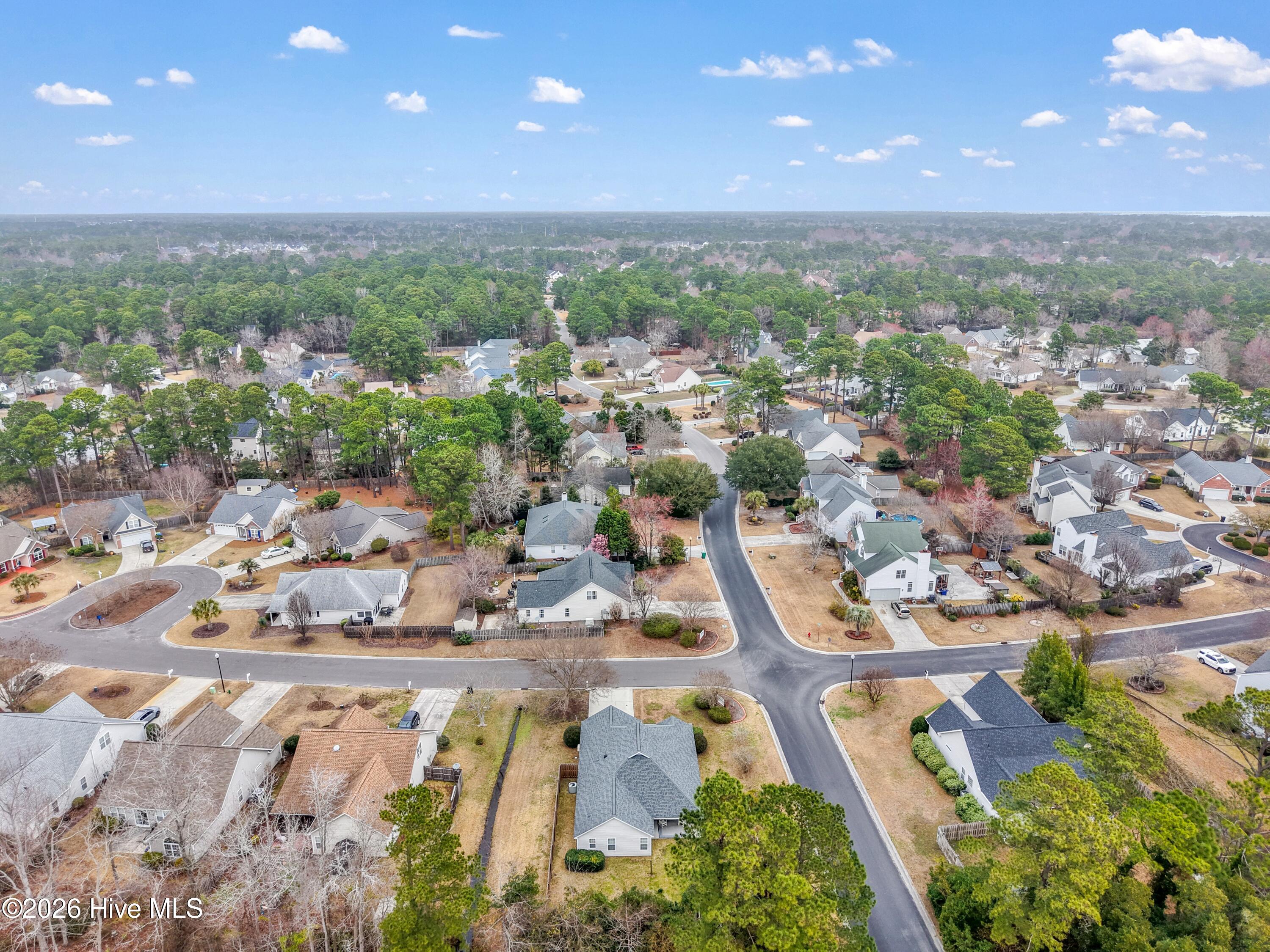 100558212 | Photo 44