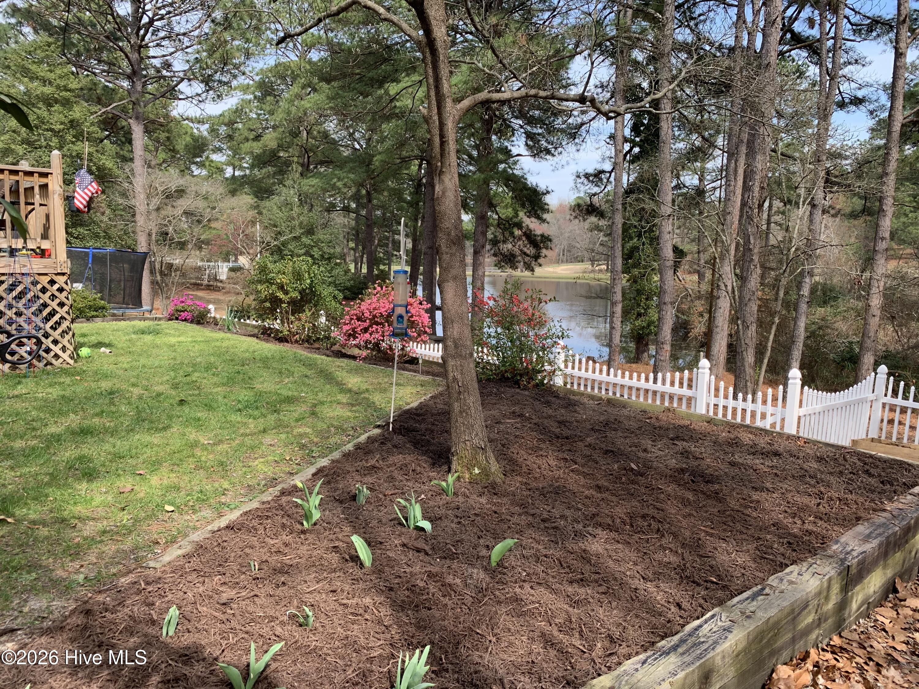 Back yard