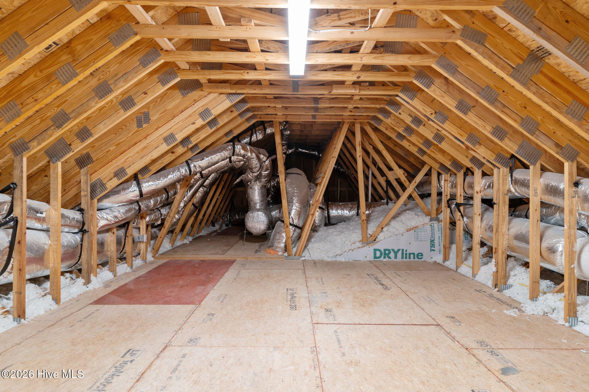 100555424 | Photo 41