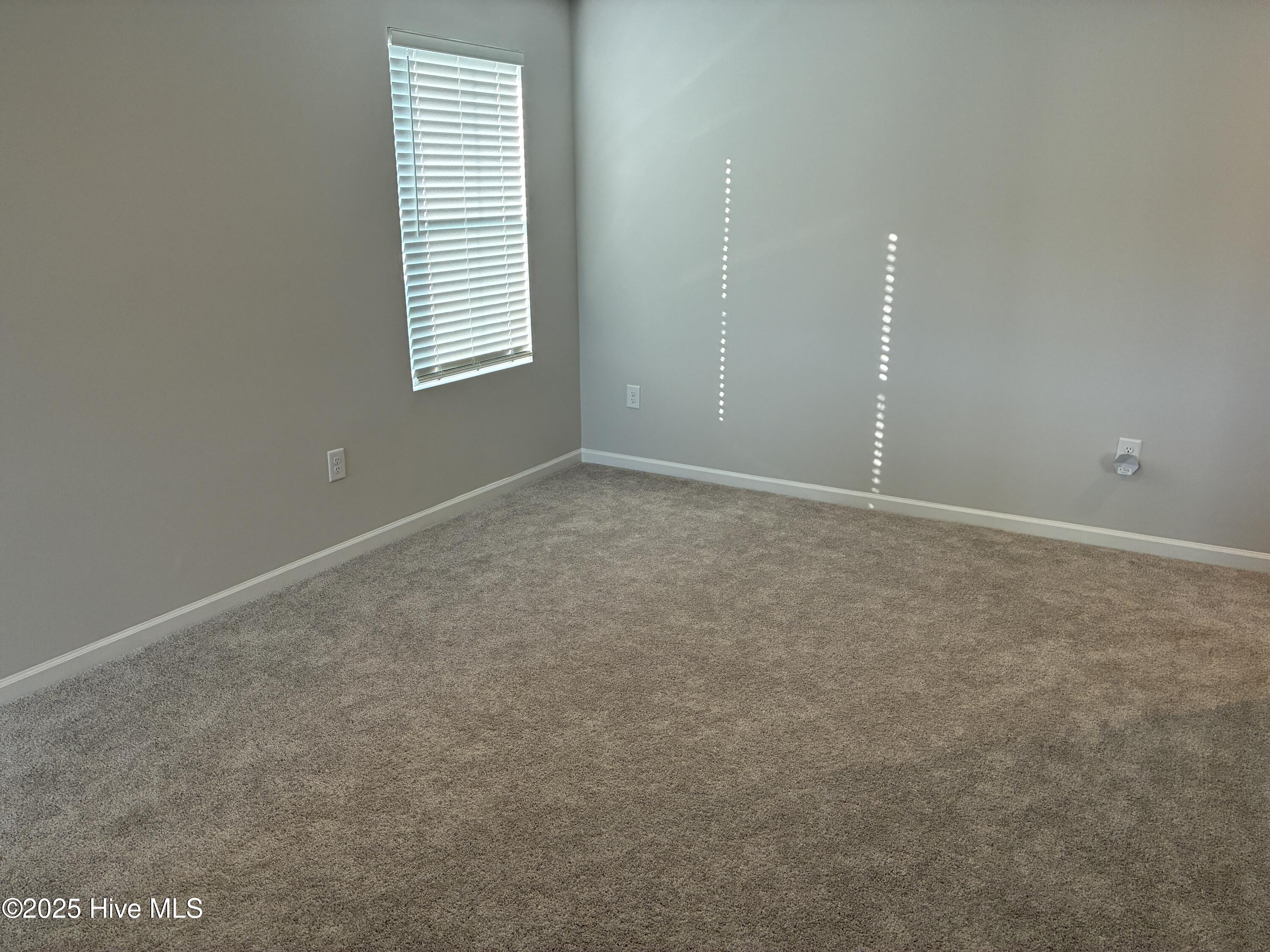 100569016 | Photo 27