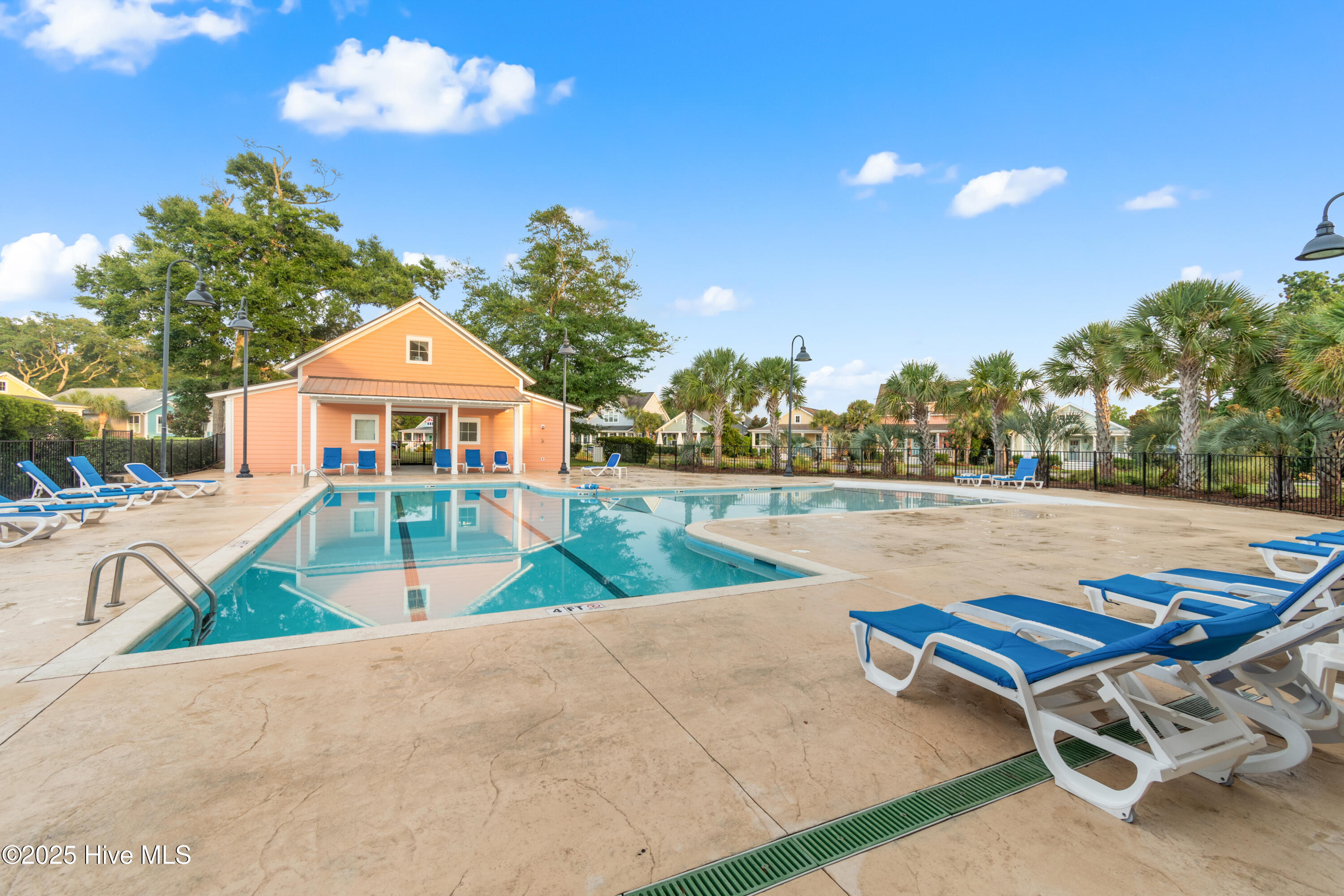 100521650 | Photo 47