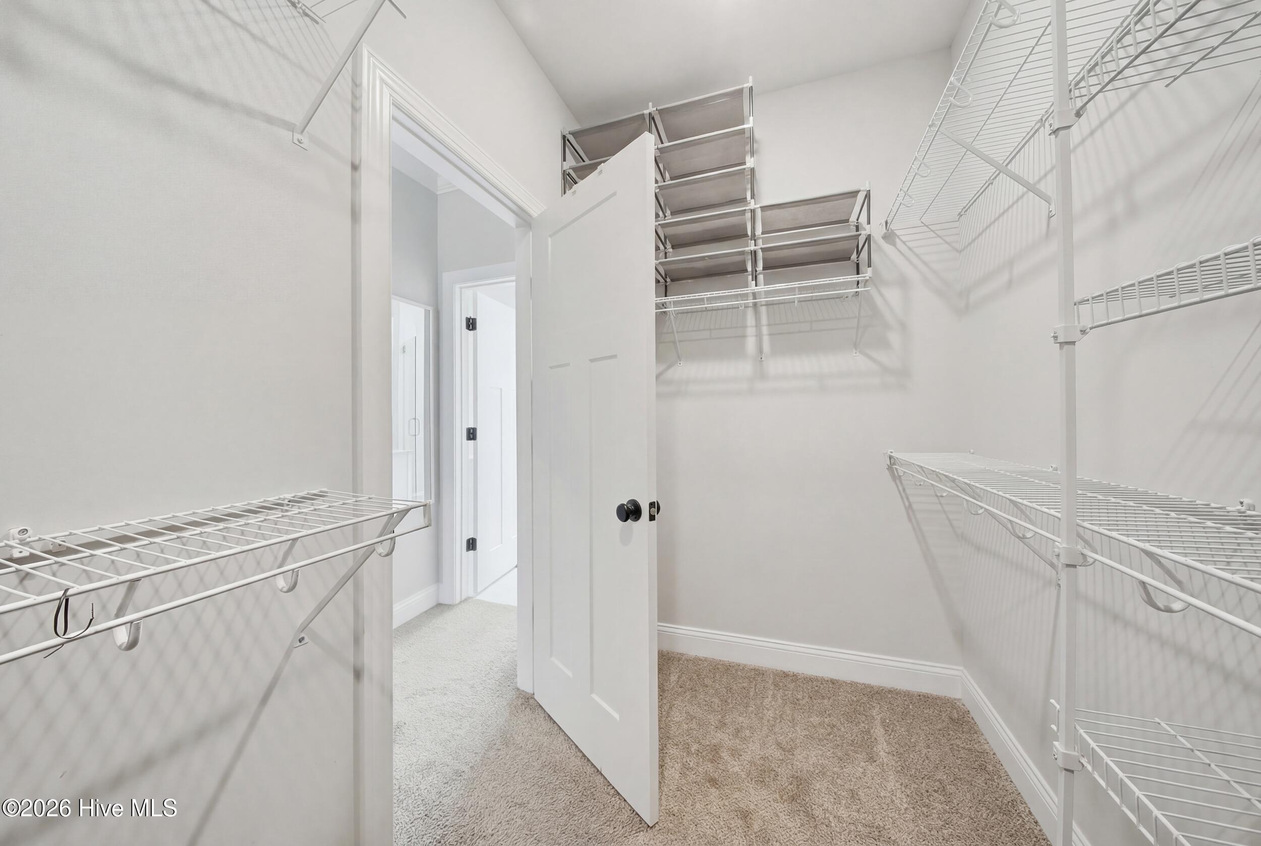 100565388 | Photo 33